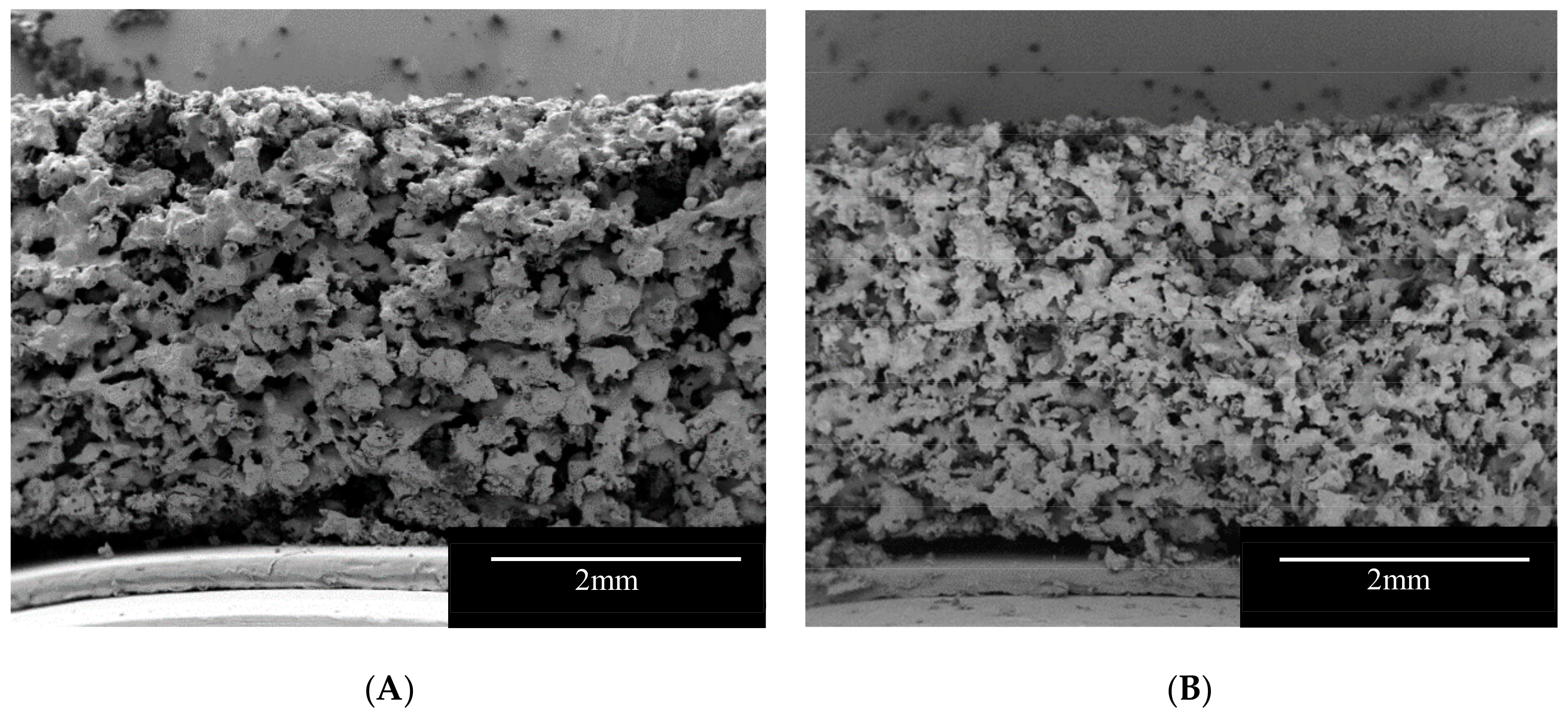 Pharmaceutics 12 00110 g002