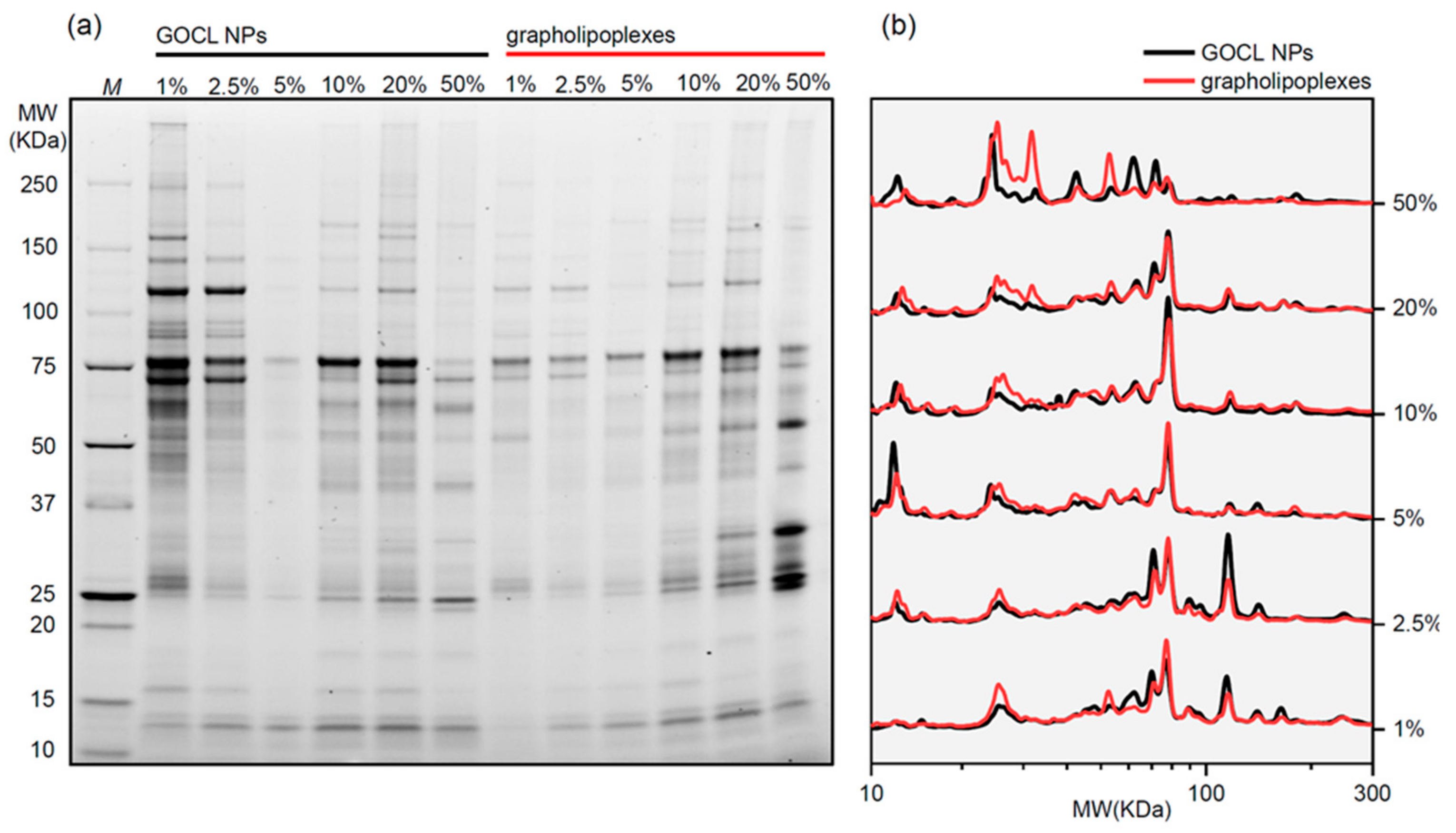 Pharmaceutics 12 00113 g003