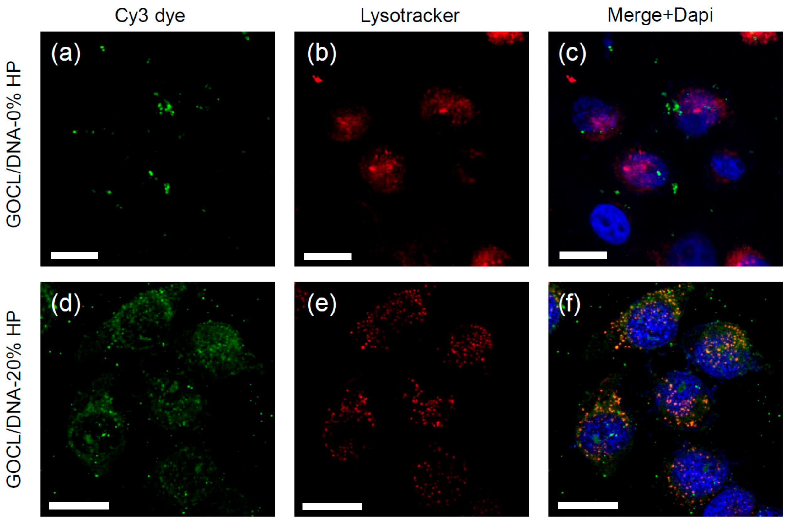 Pharmaceutics 12 00113 g005