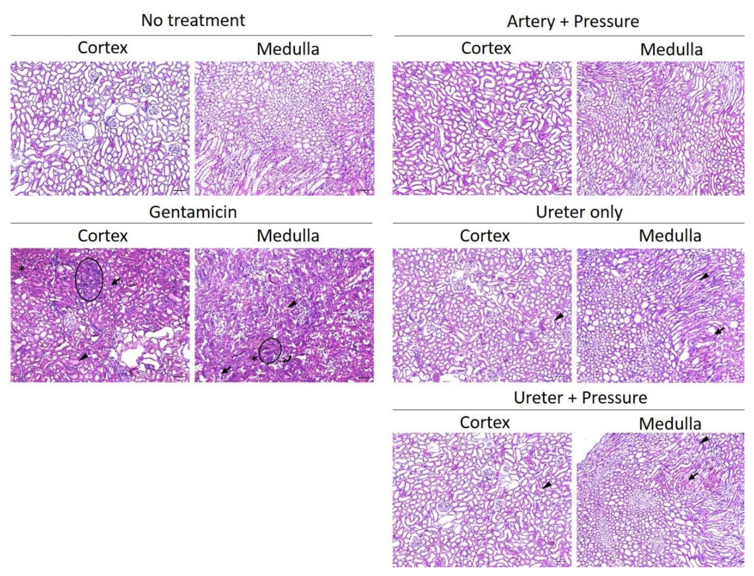 Pharmaceutics 12 00114 g008