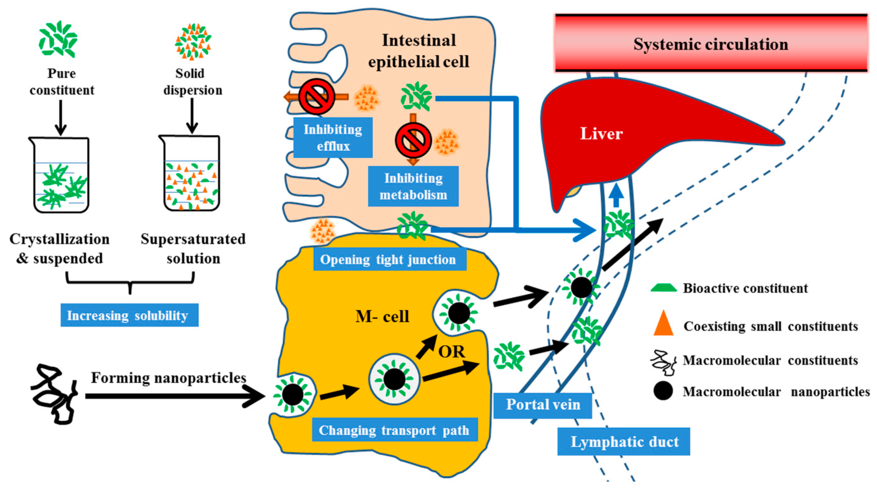 Pharmaceutics 12 00128 g002