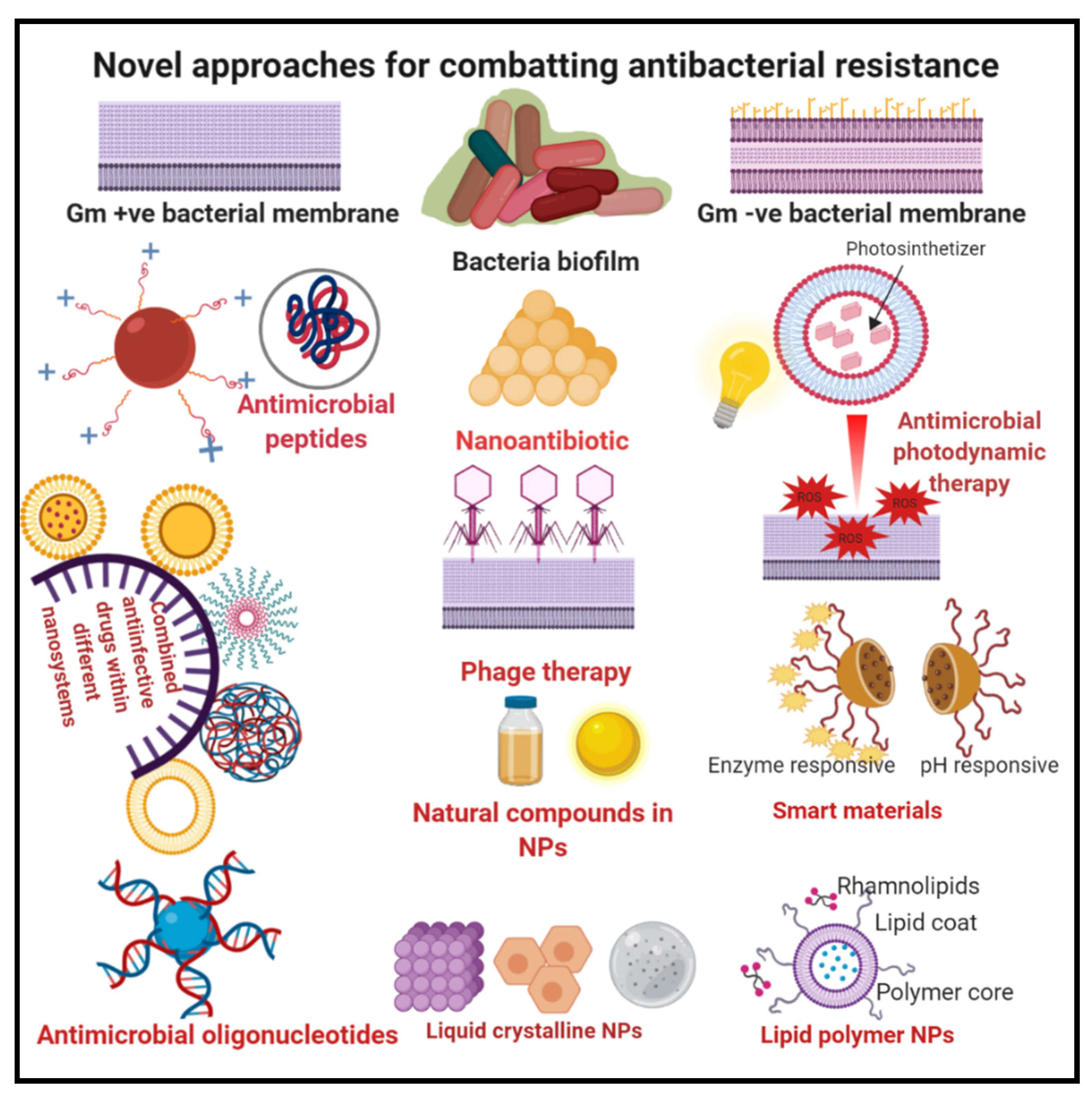 Pharmaceutics 12 00142 g002