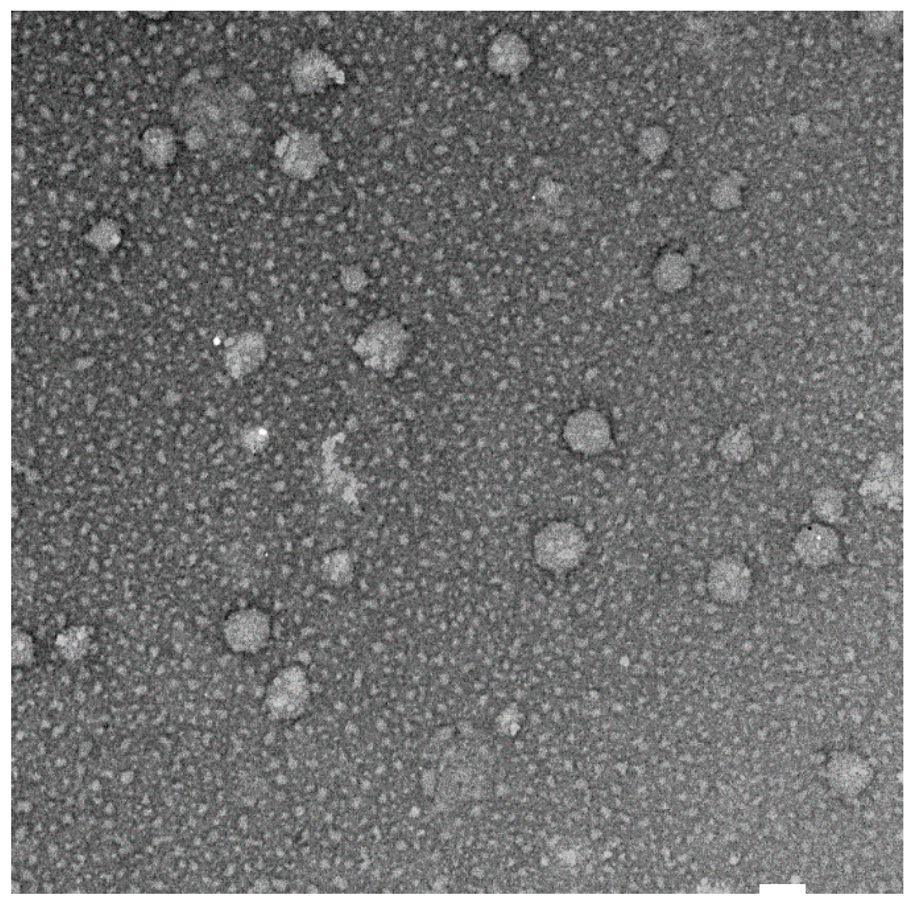 Pharmaceutics 12 00143 g002 Pharmaceutics 12 00143 g002