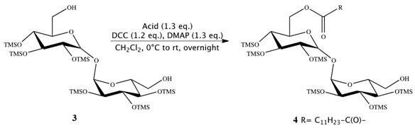 Pharmaceutics 12 00143 i003