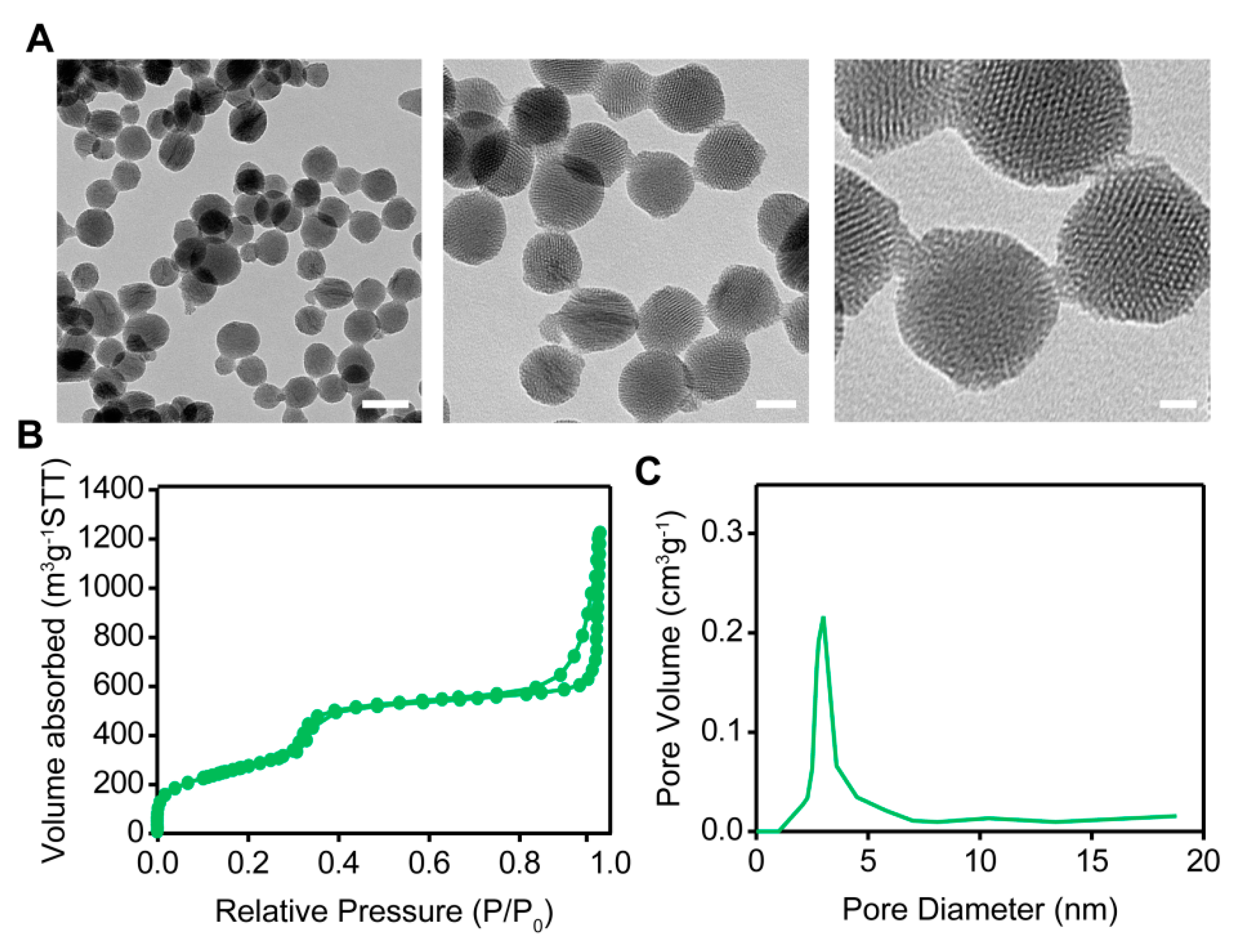 Pharmaceutics 12 00144 g002