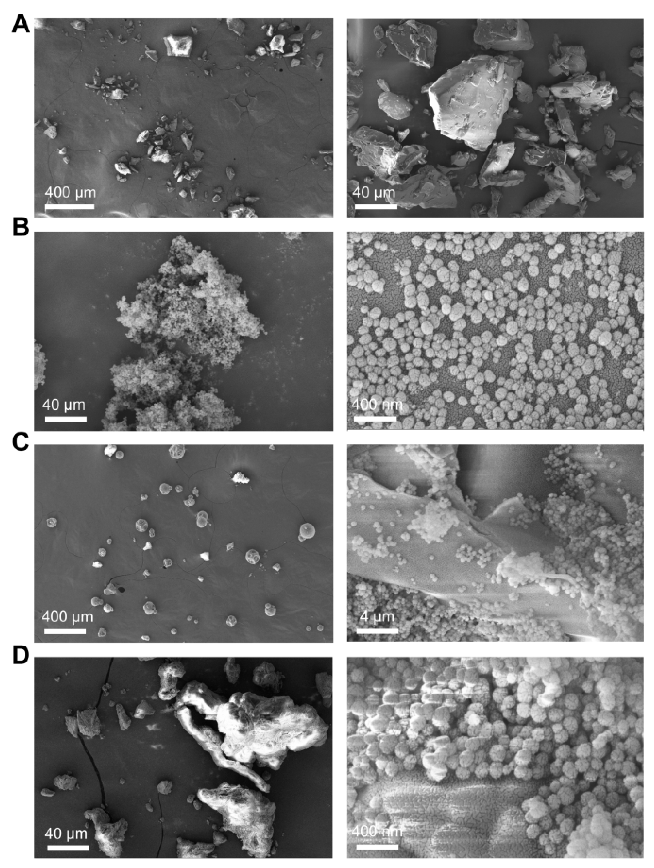 Pharmaceutics 12 00144 g003