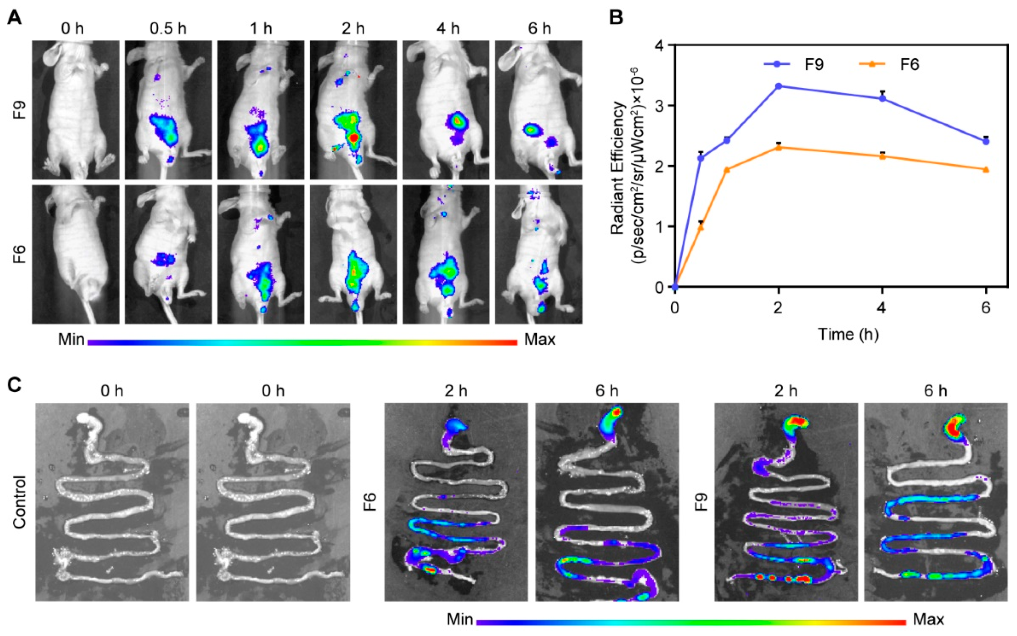 Pharmaceutics 12 00144 g009