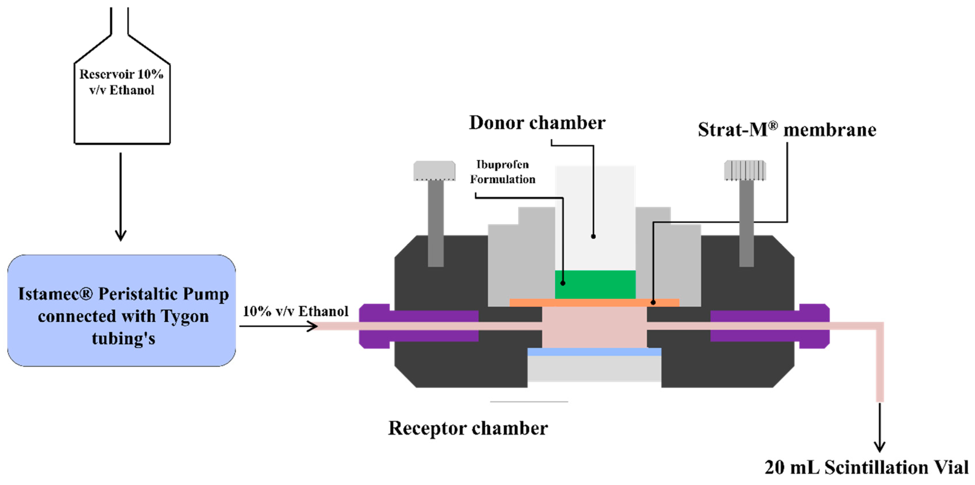 Pharmaceutics 12 00151 g001