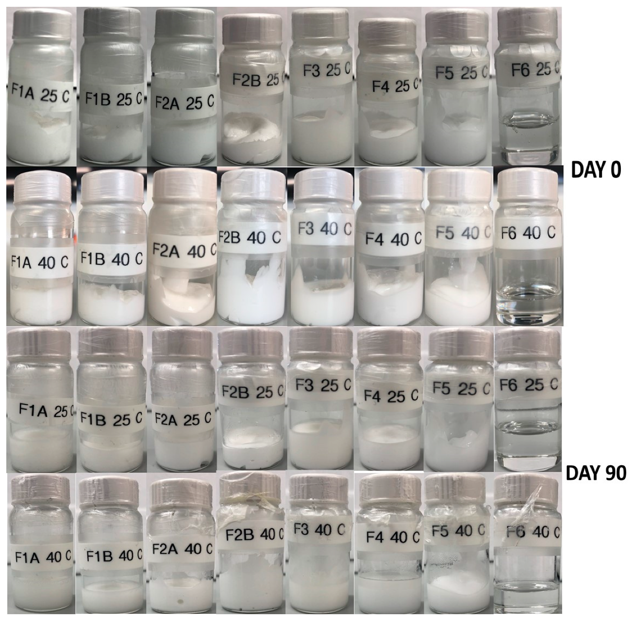 Pharmaceutics 12 00151 g005