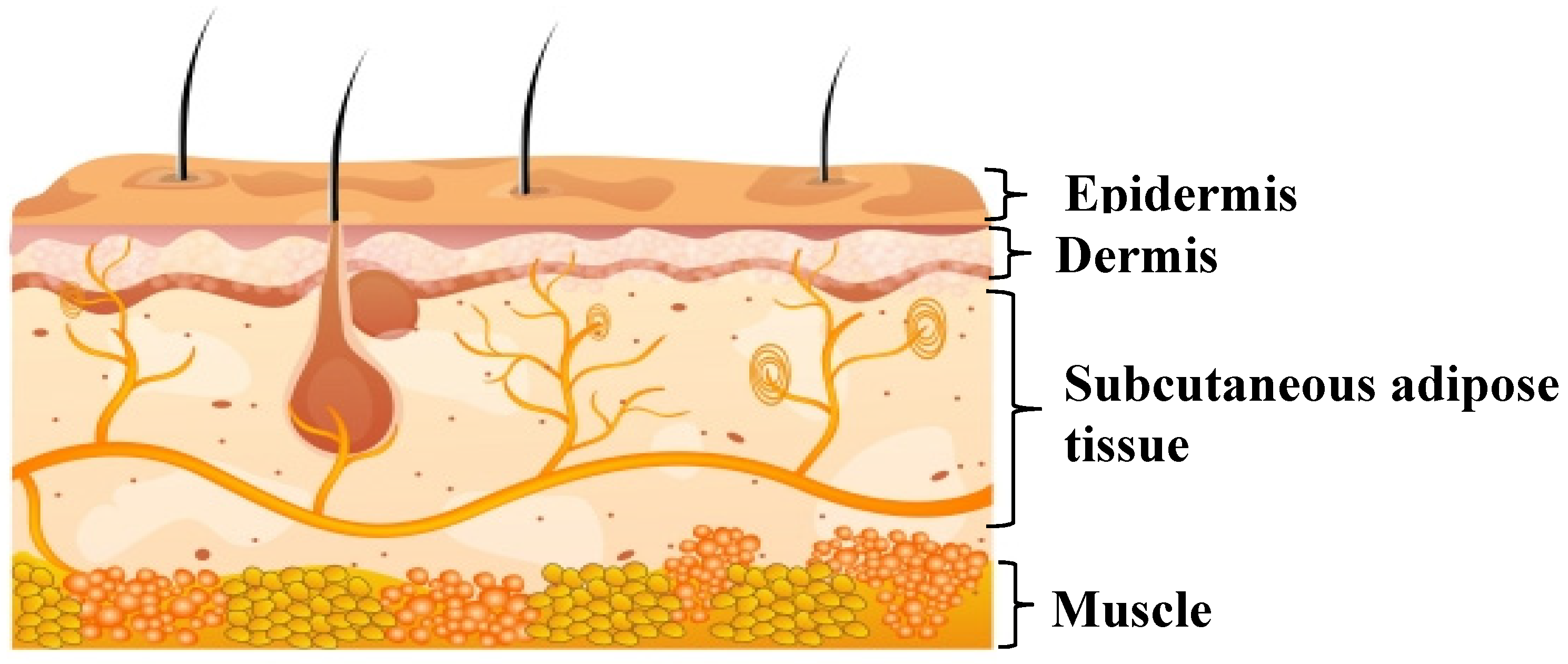 Pharmaceutics 12 00152 g002