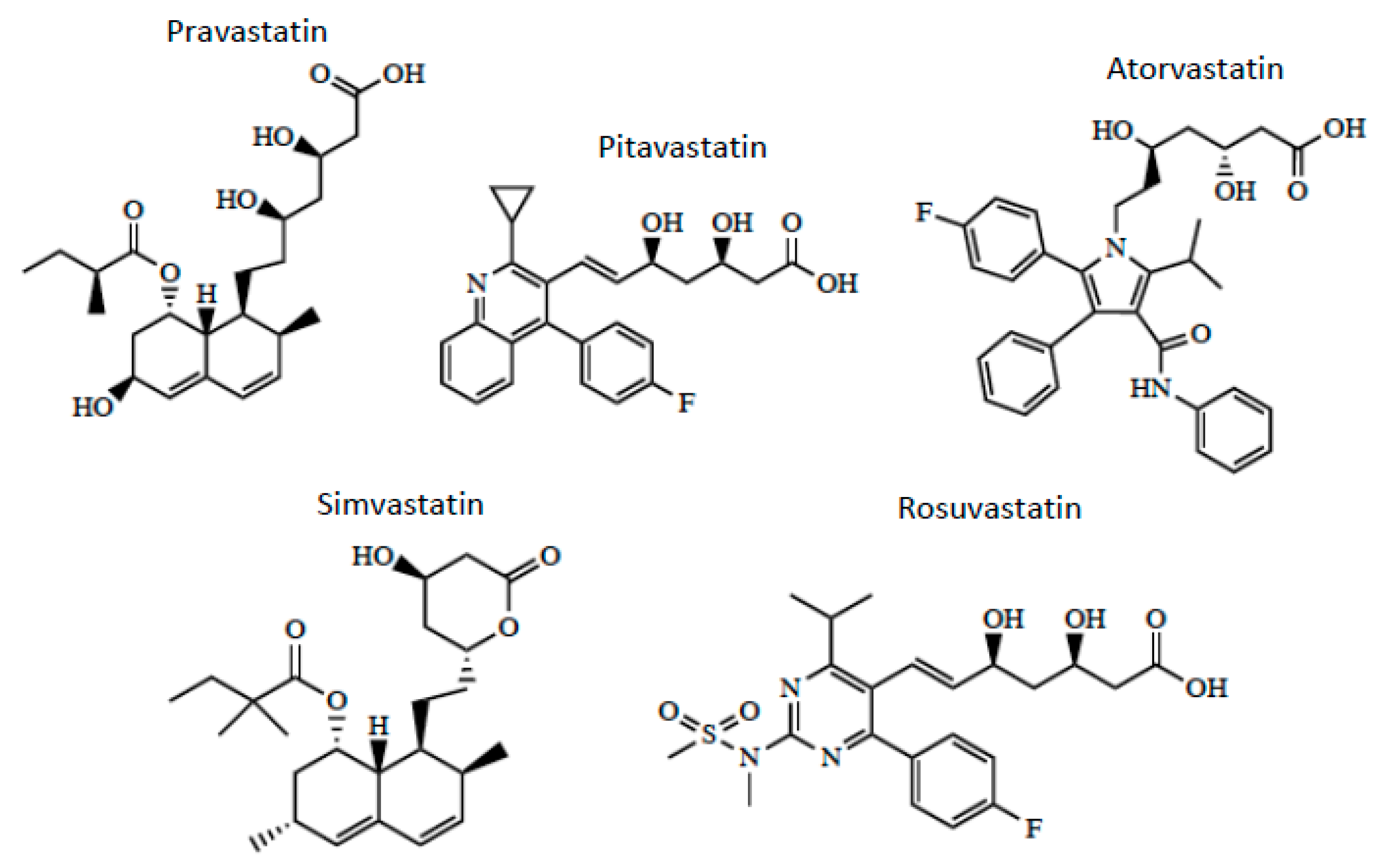 Pharmaceutics 12 00154 g003