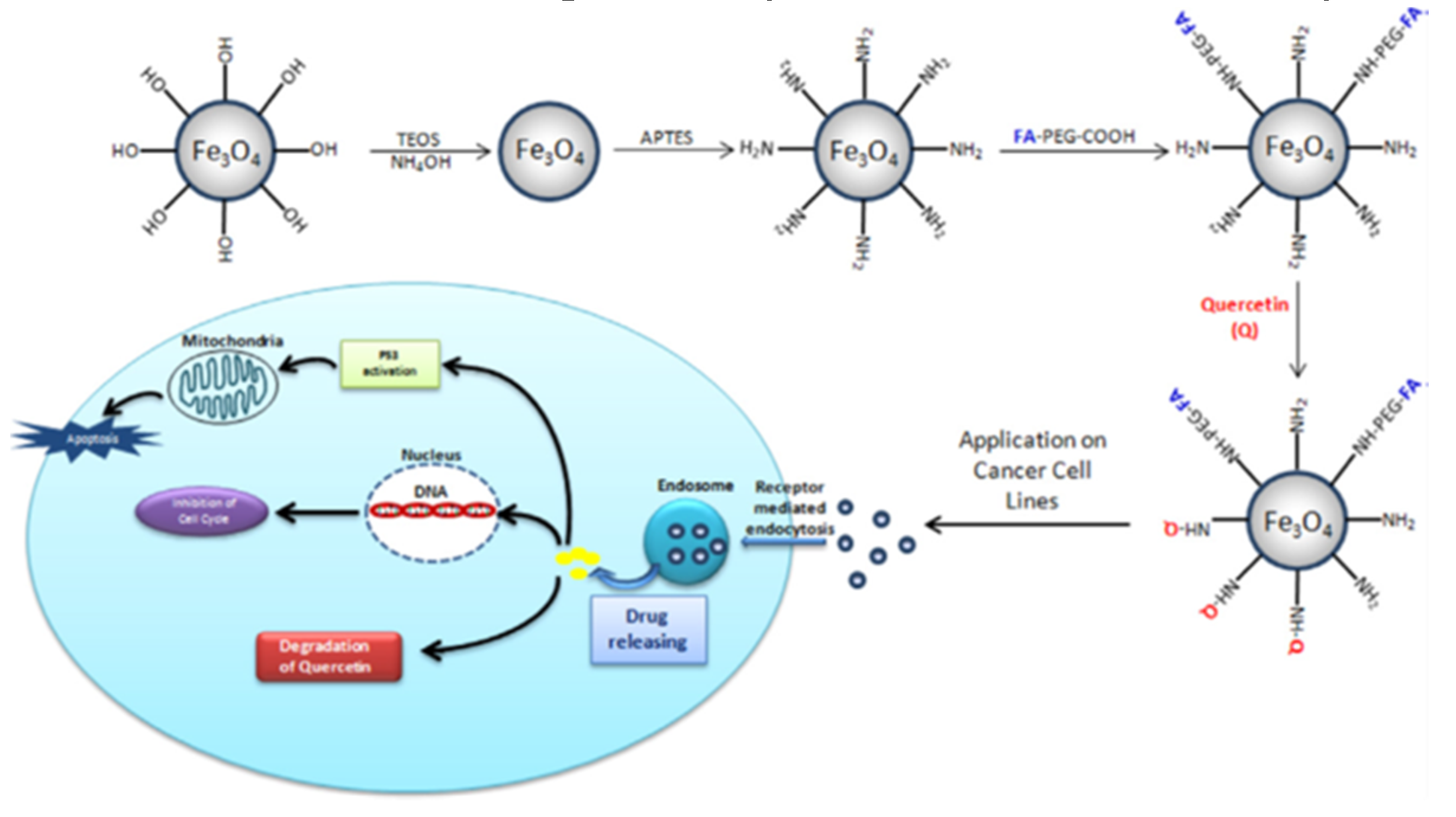 Pharmaceutics 12 00156 g006
