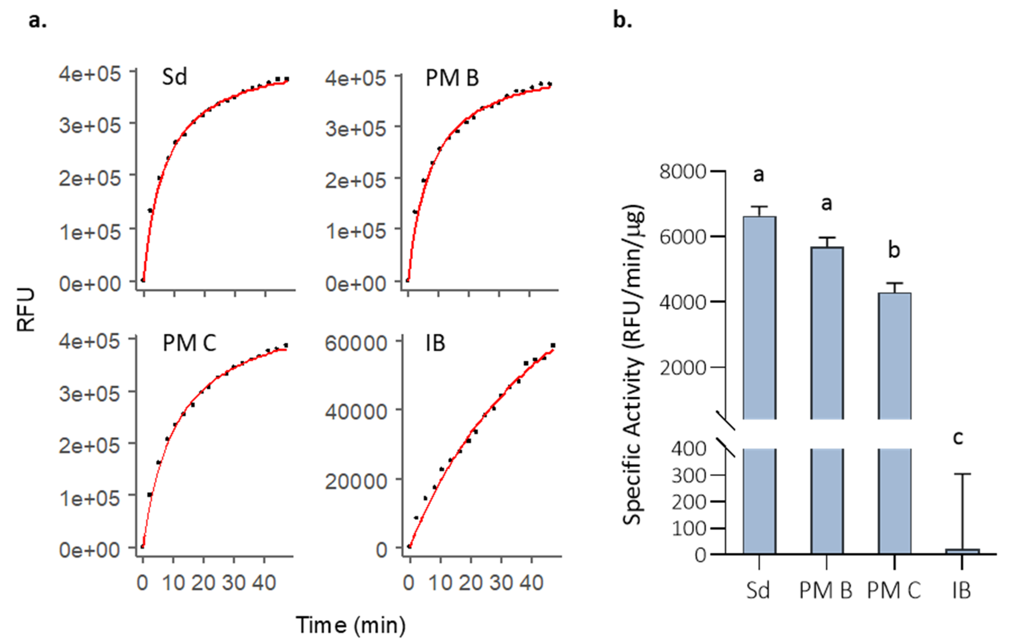 Pharmaceutics 12 00157 g002