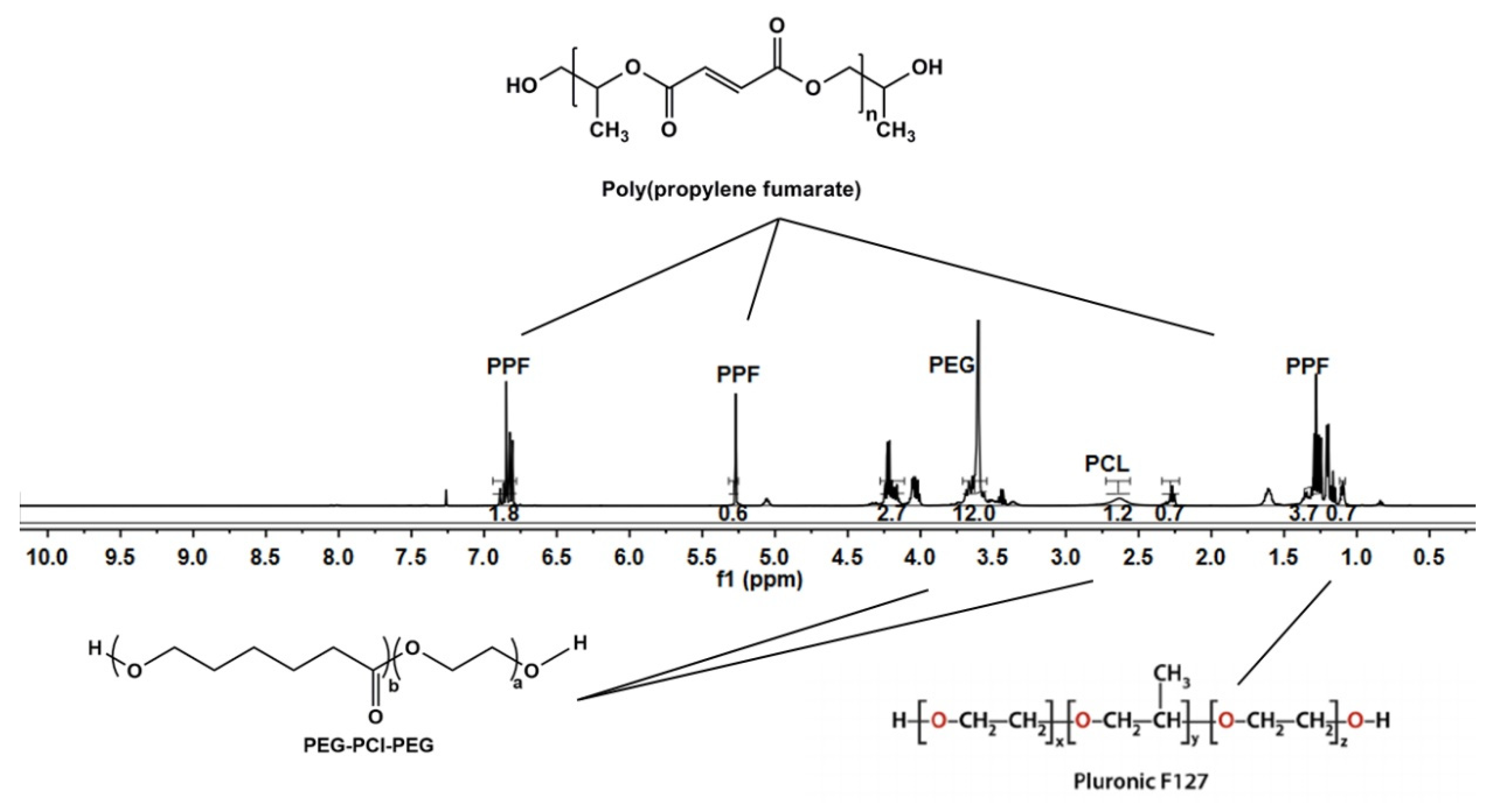 Pharmaceutics 12 00166 g005
