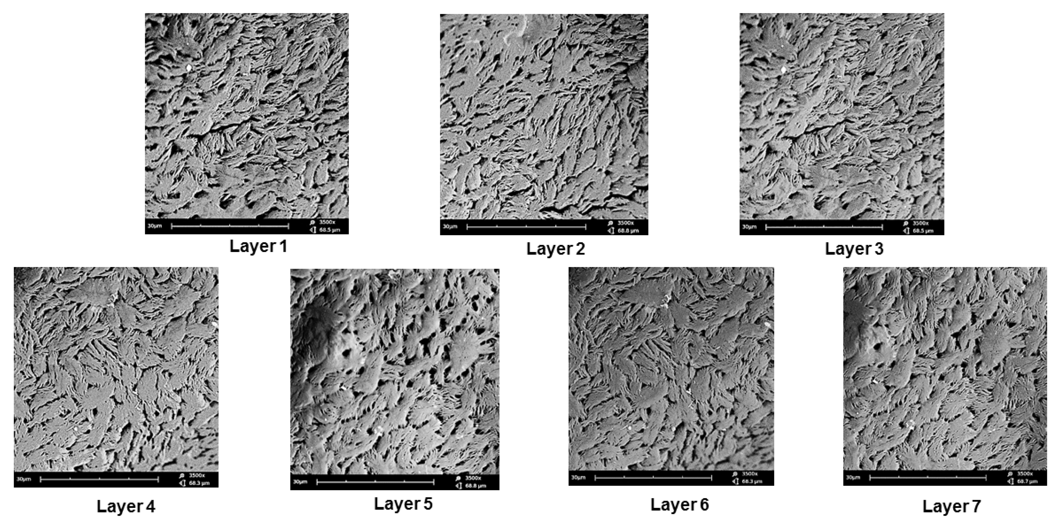 Pharmaceutics 12 00166 g007