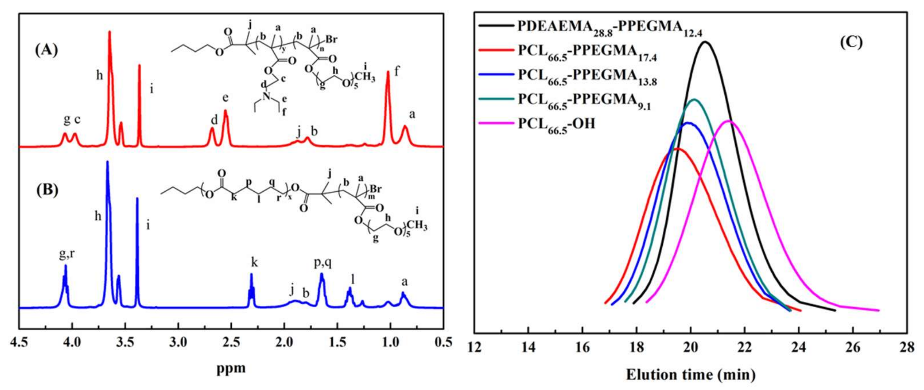 Pharmaceutics 12 00170 g001