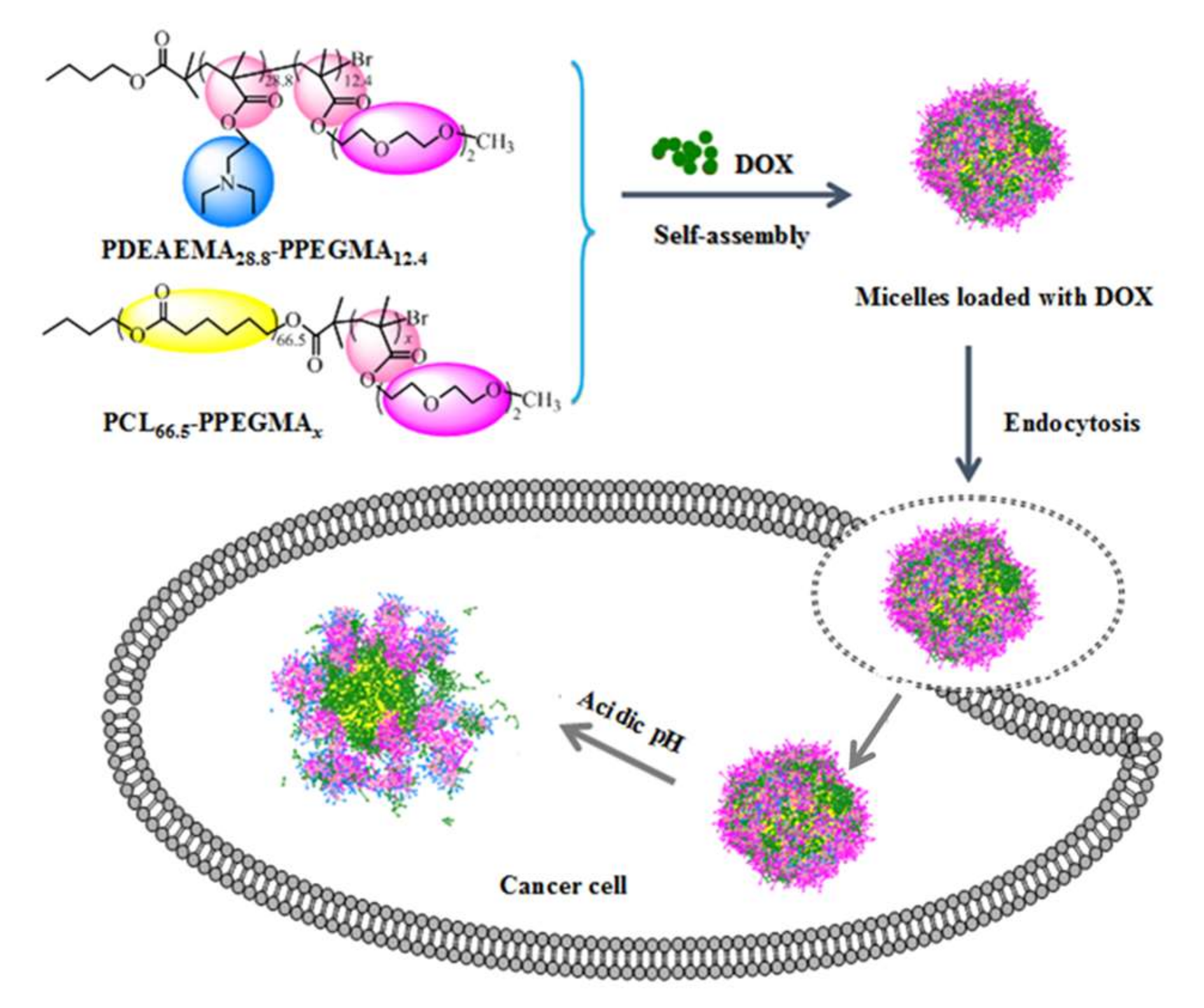 Pharmaceutics 12 00170 sch001