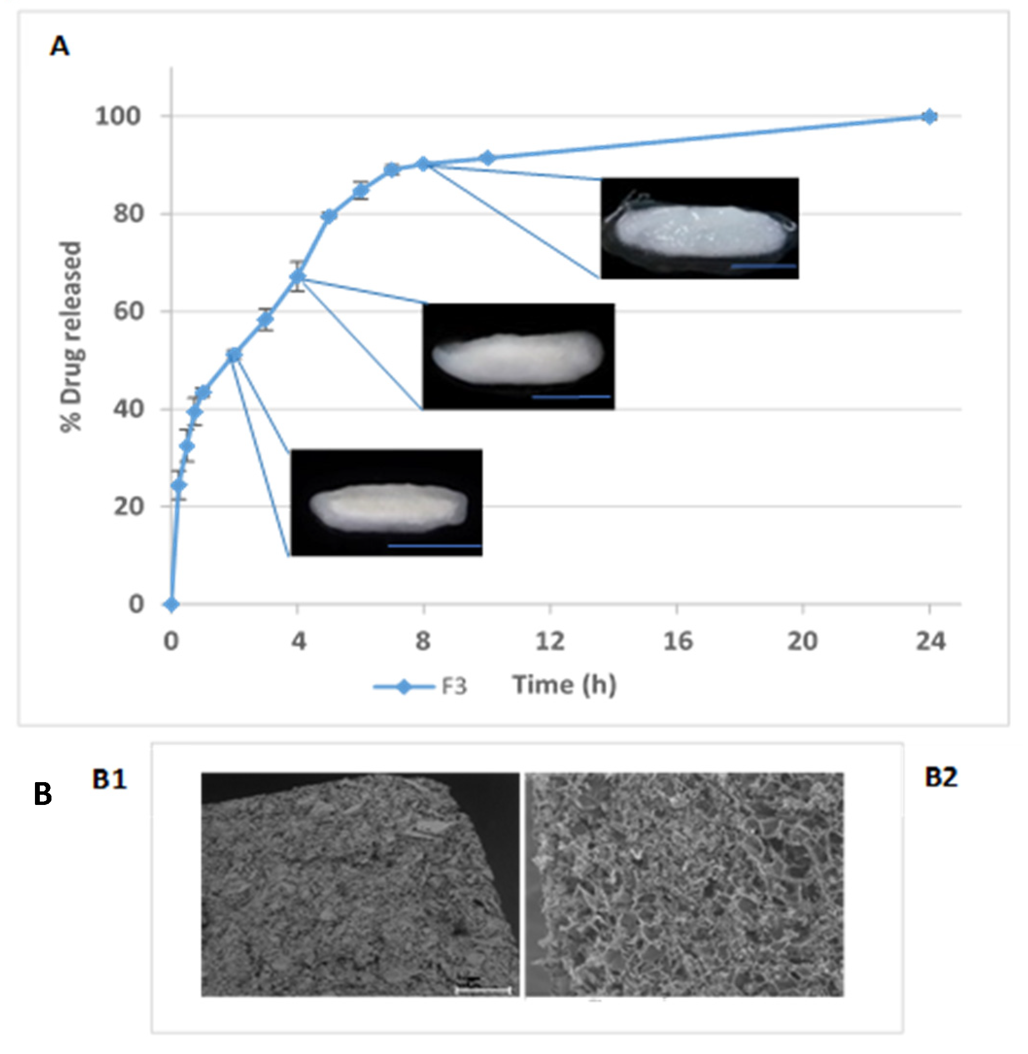 Pharmaceutics 12 00174 g005