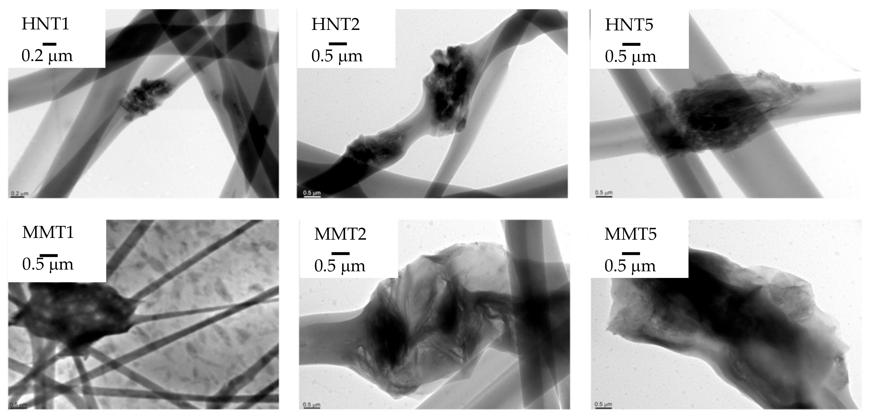 Pharmaceutics 12 00179 g006