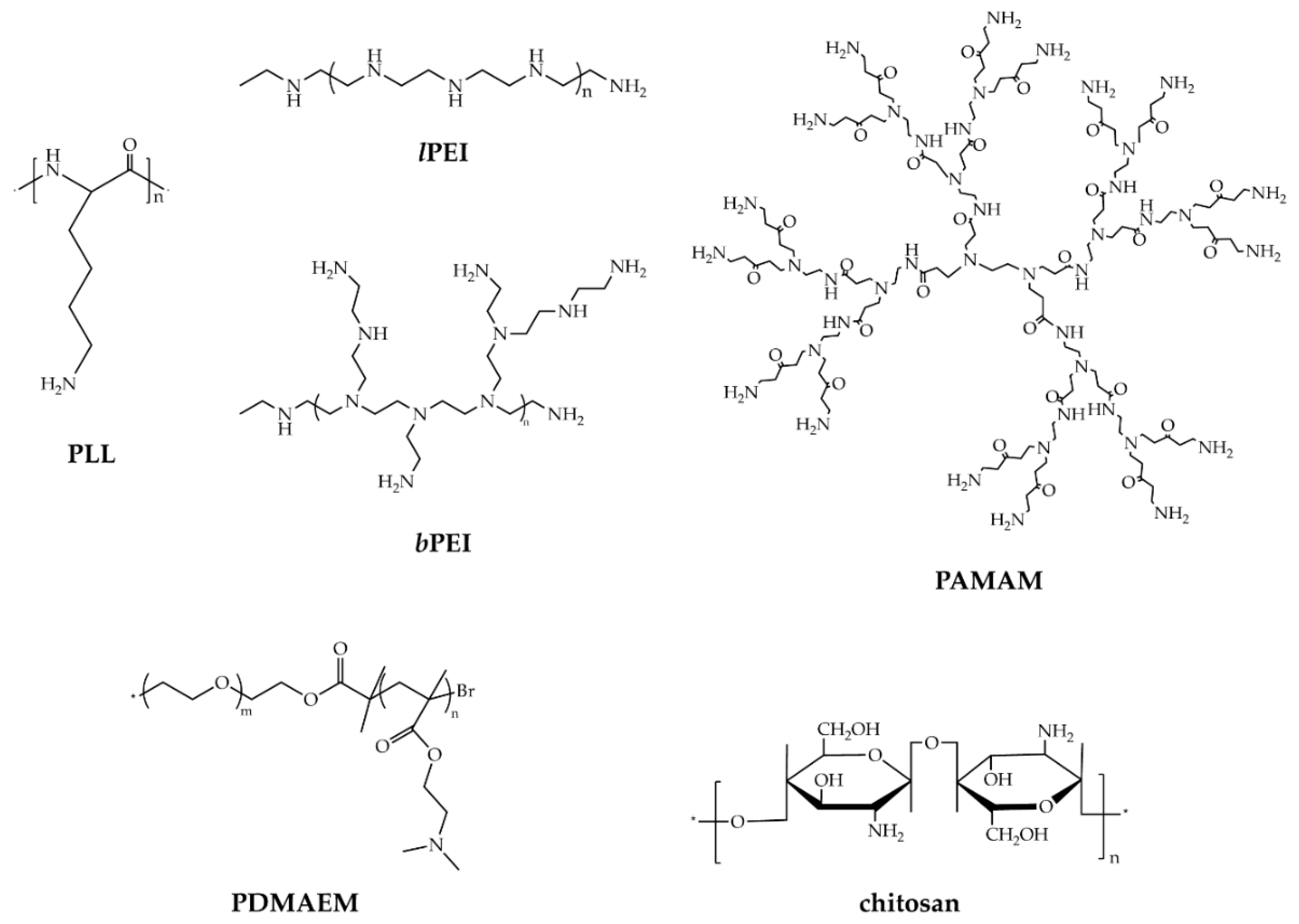 Pharmaceutics 12 00183 g002 Pharmaceutics 12 00183 g002