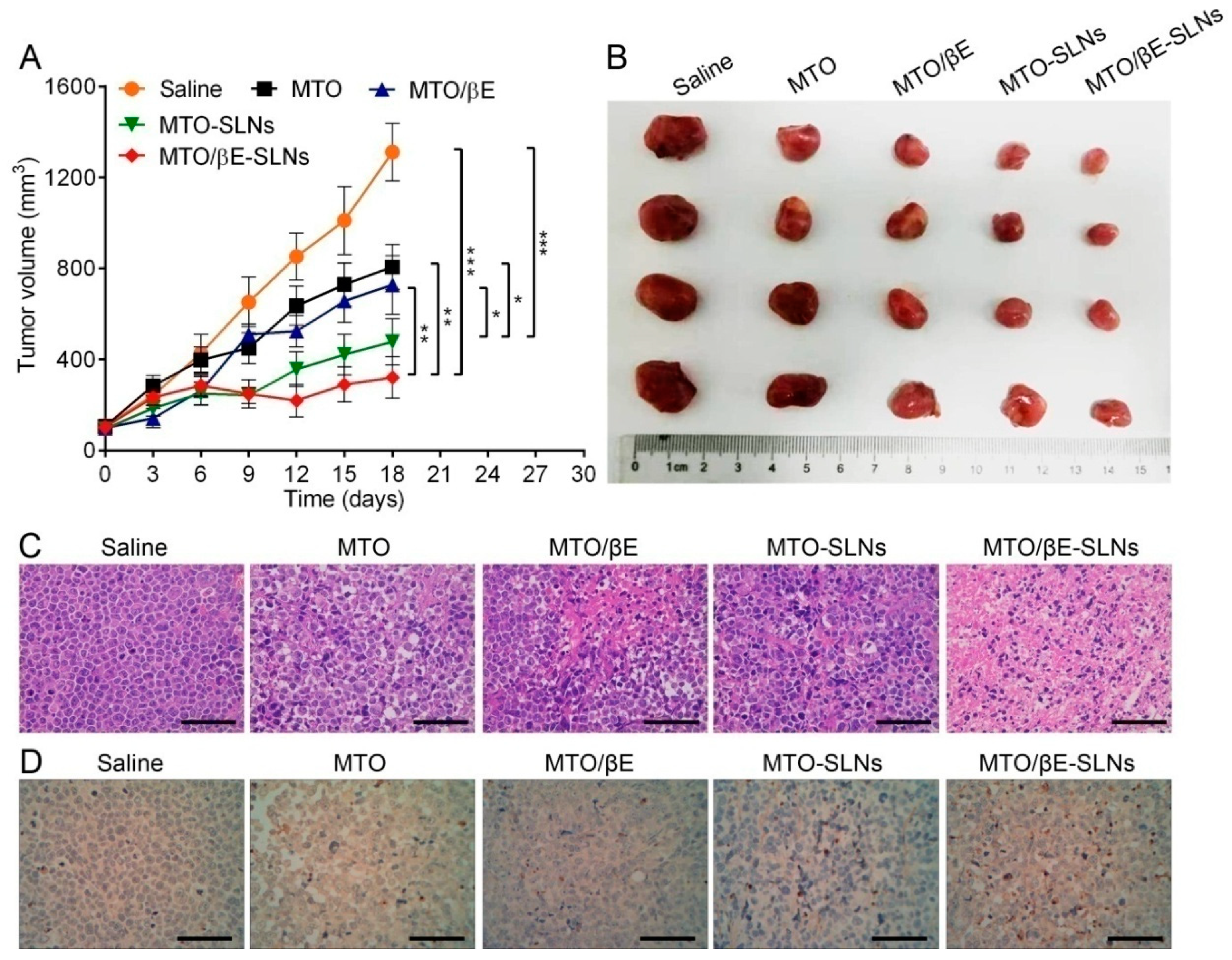 Pharmaceutics 12 00191 g006