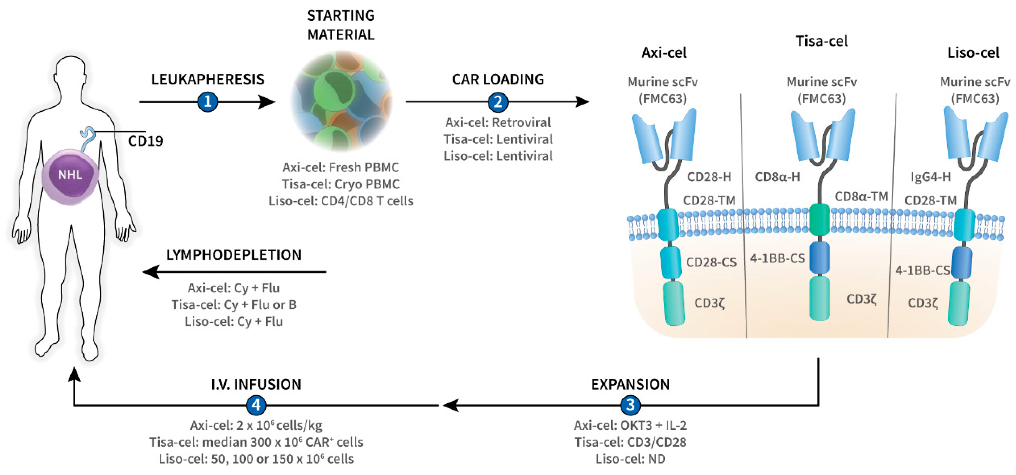 Pharmaceutics 12 00194 g001