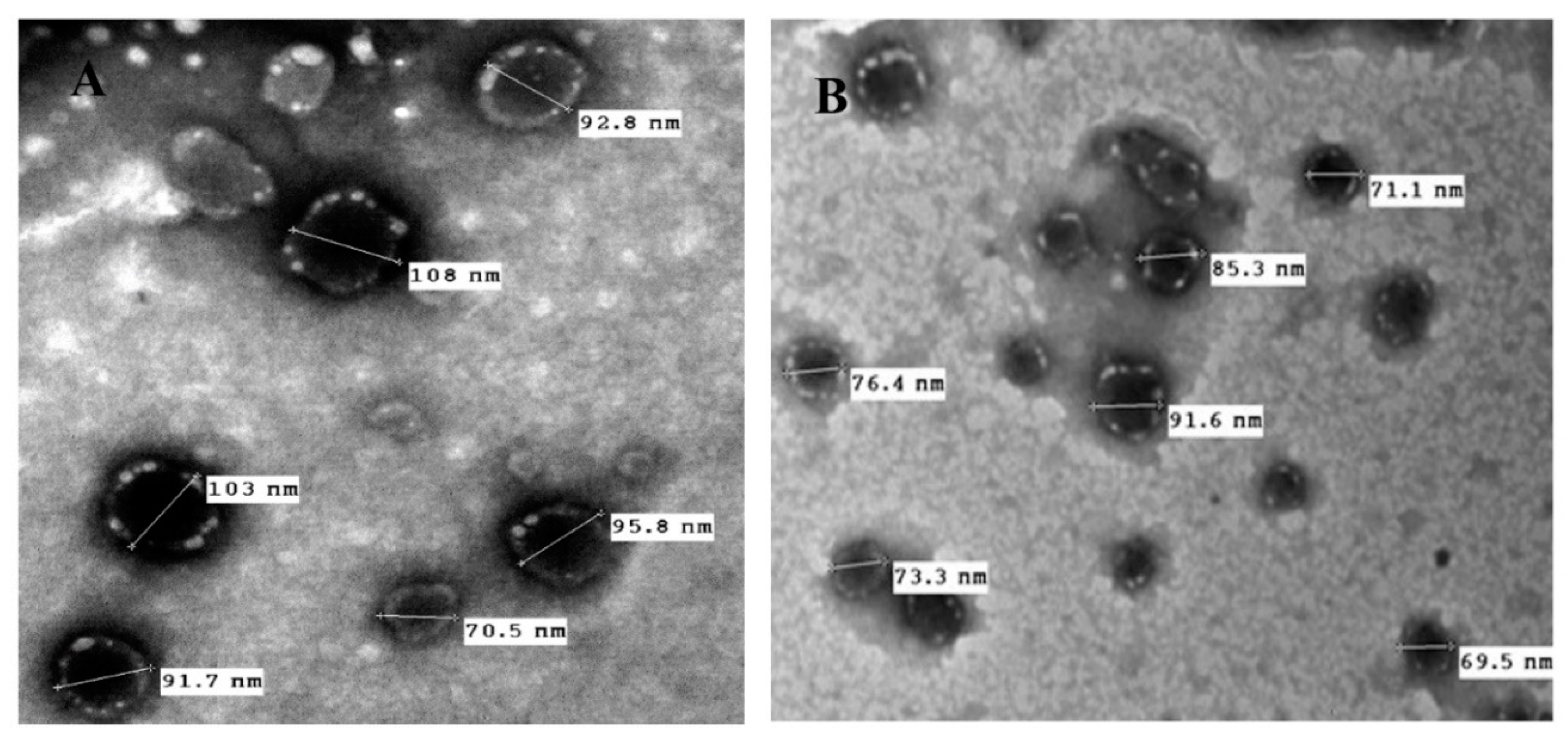 Pharmaceutics 12 00199 g006