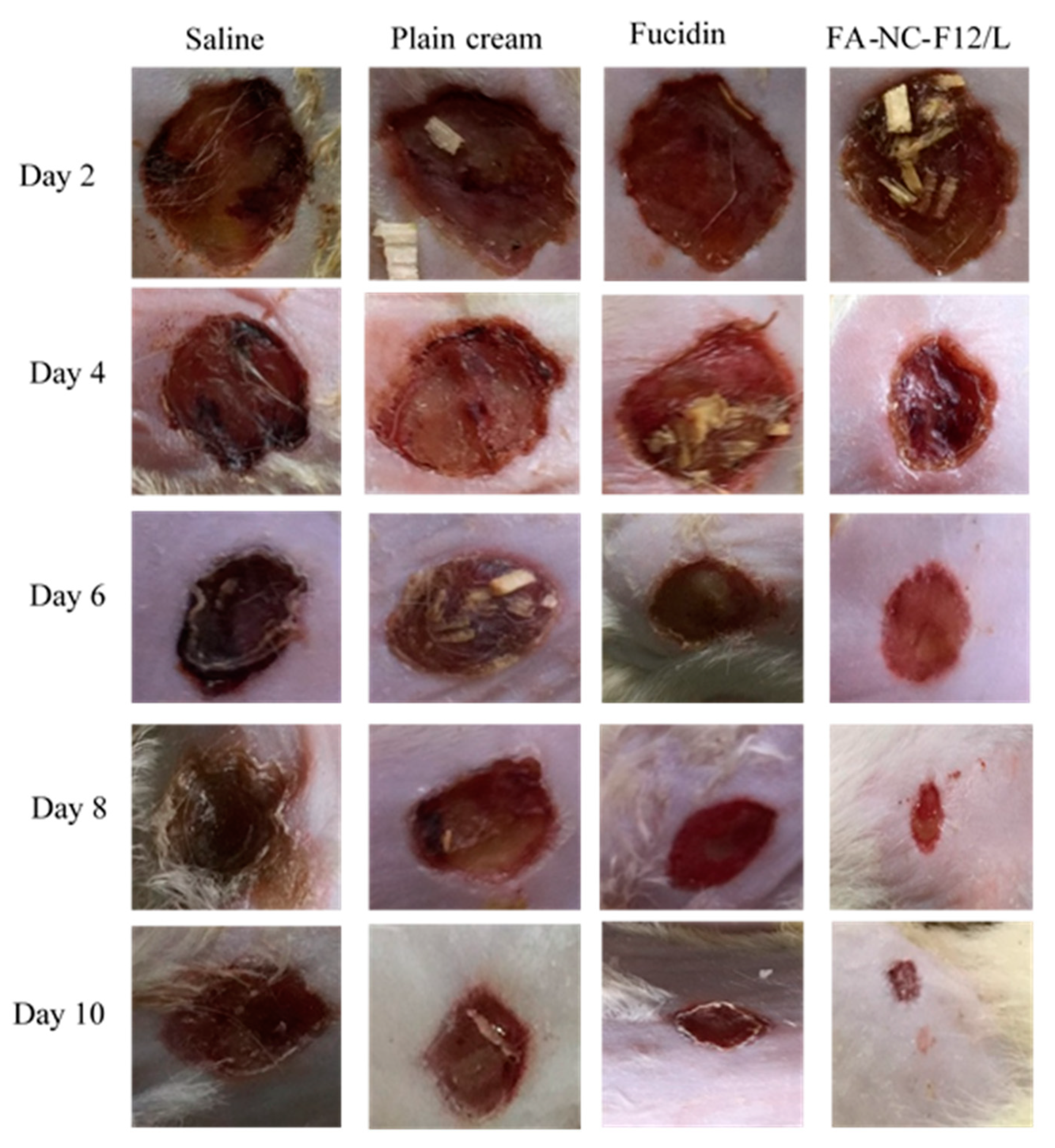Pharmaceutics 12 00199 g011