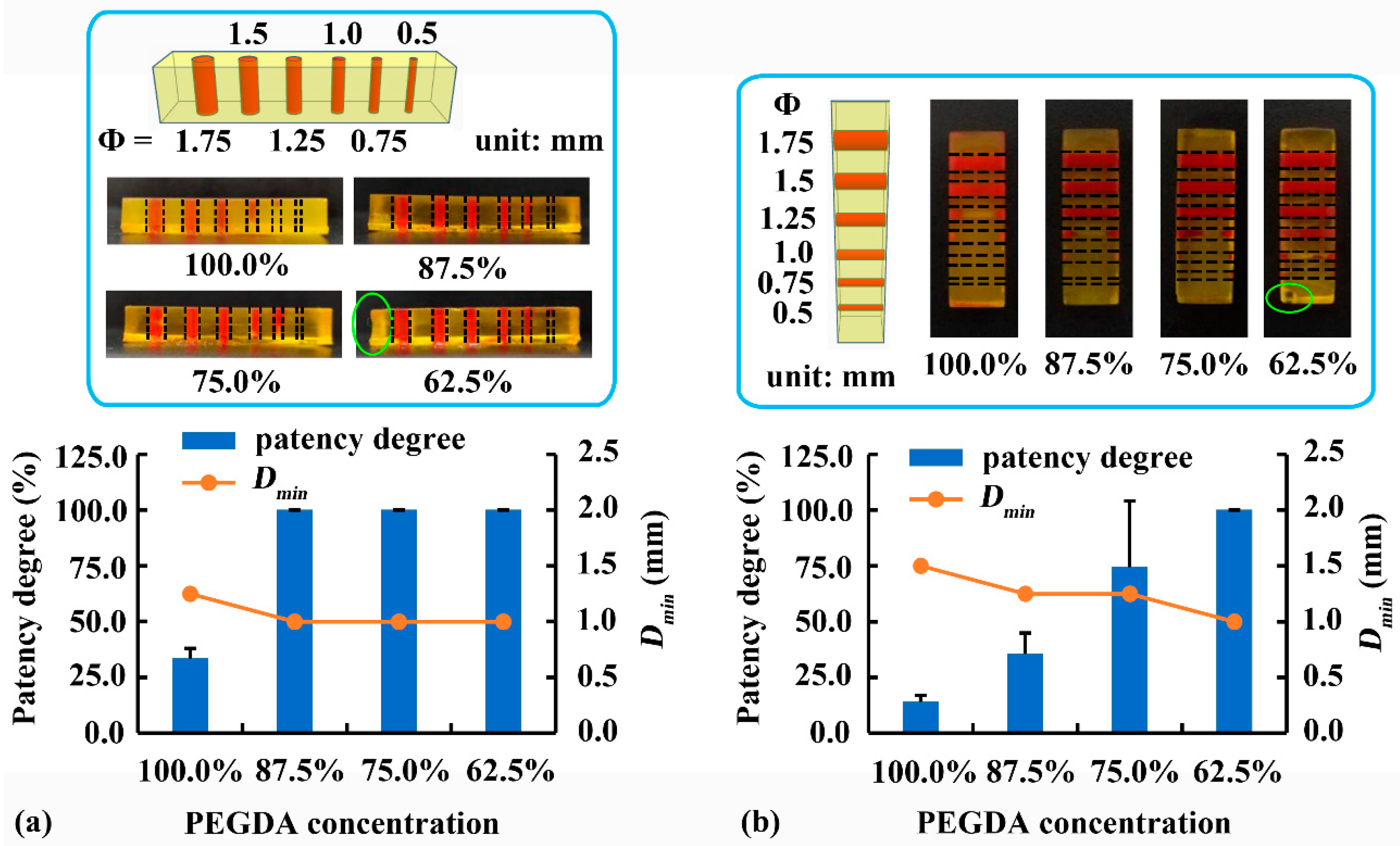 Pharmaceutics 12 00207 g006