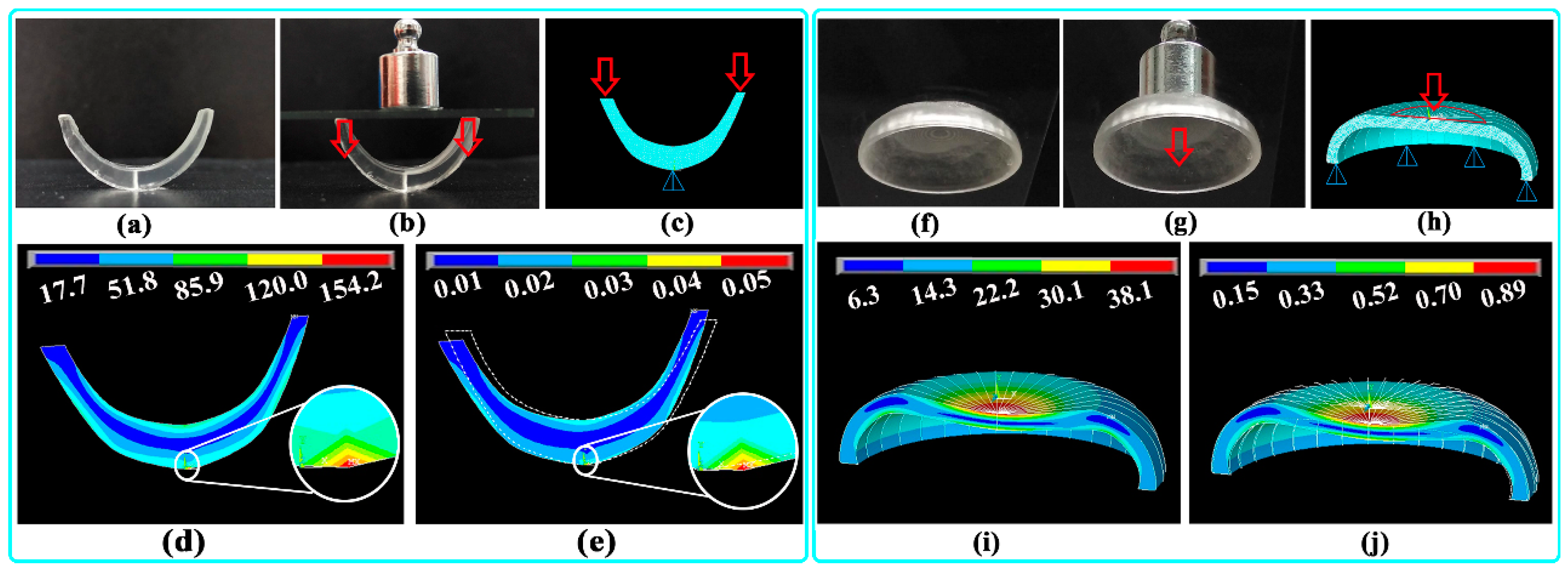 Pharmaceutics 12 00207 g010