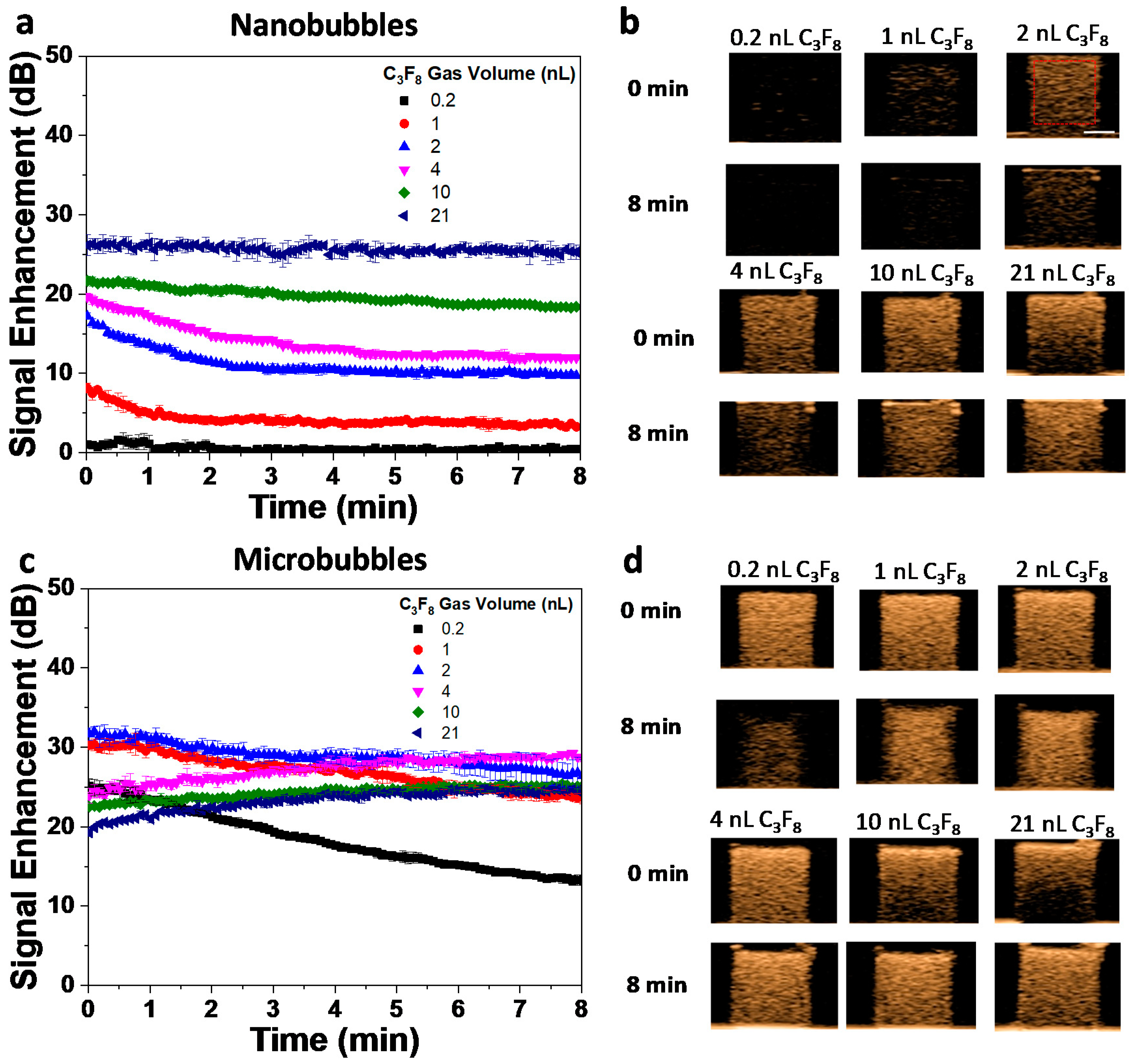 Pharmaceutics 12 00208 g004