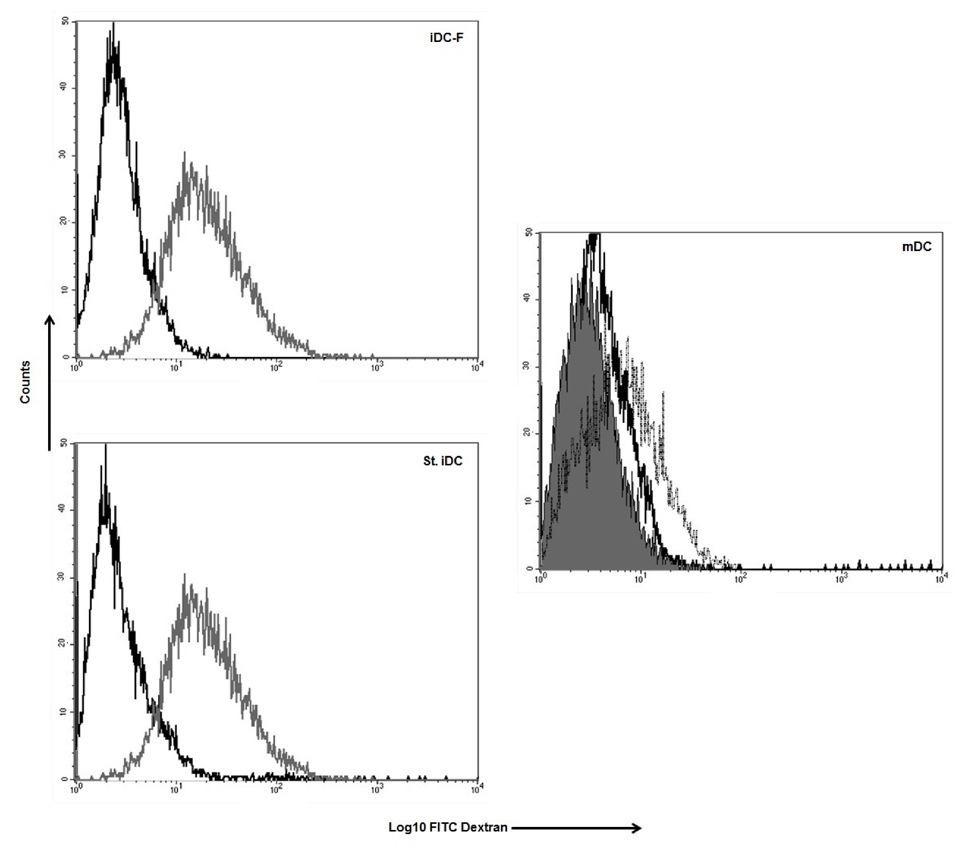 Pharmaceutics 12 00215 g003