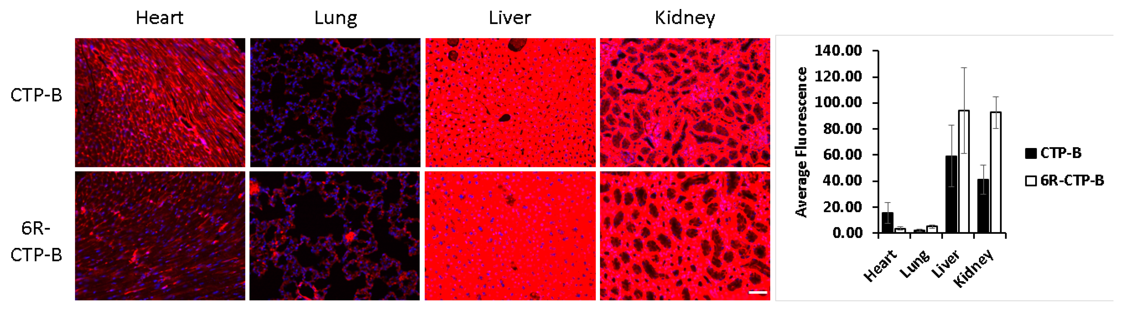 Pharmaceutics 12 00225 g001