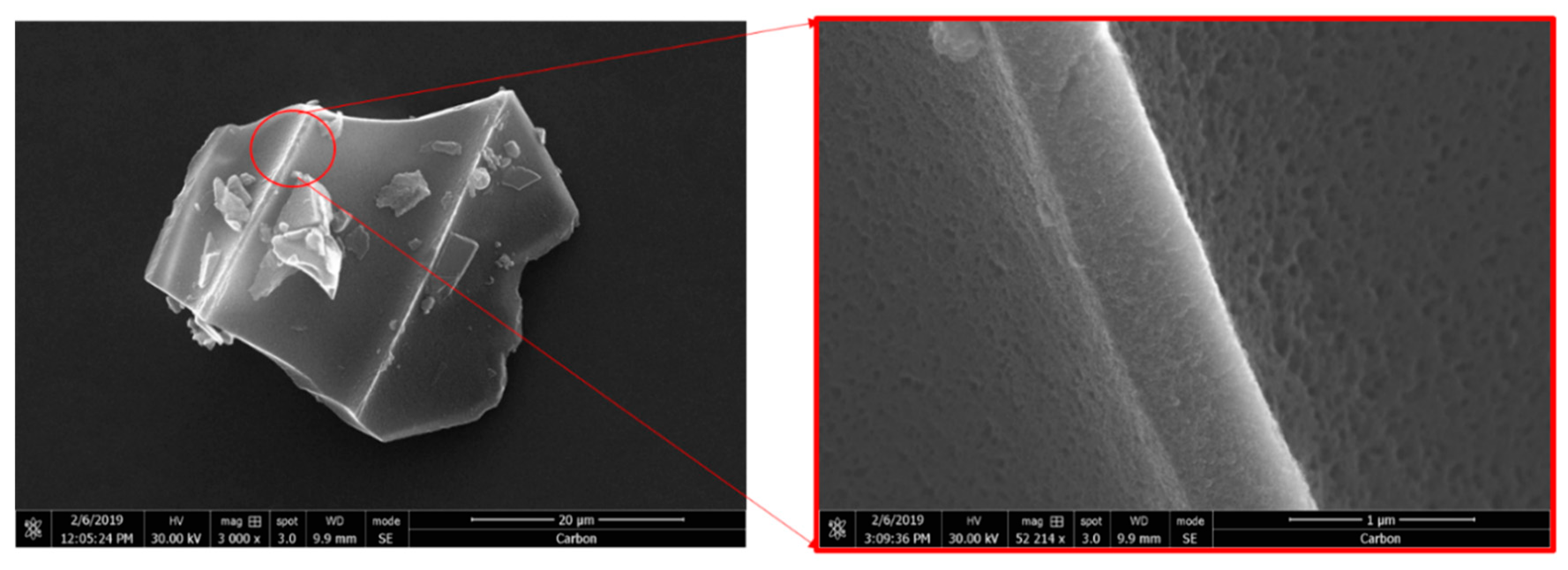 Pharmaceutics 12 00227 g001 Pharmaceutics 12 00227 g001