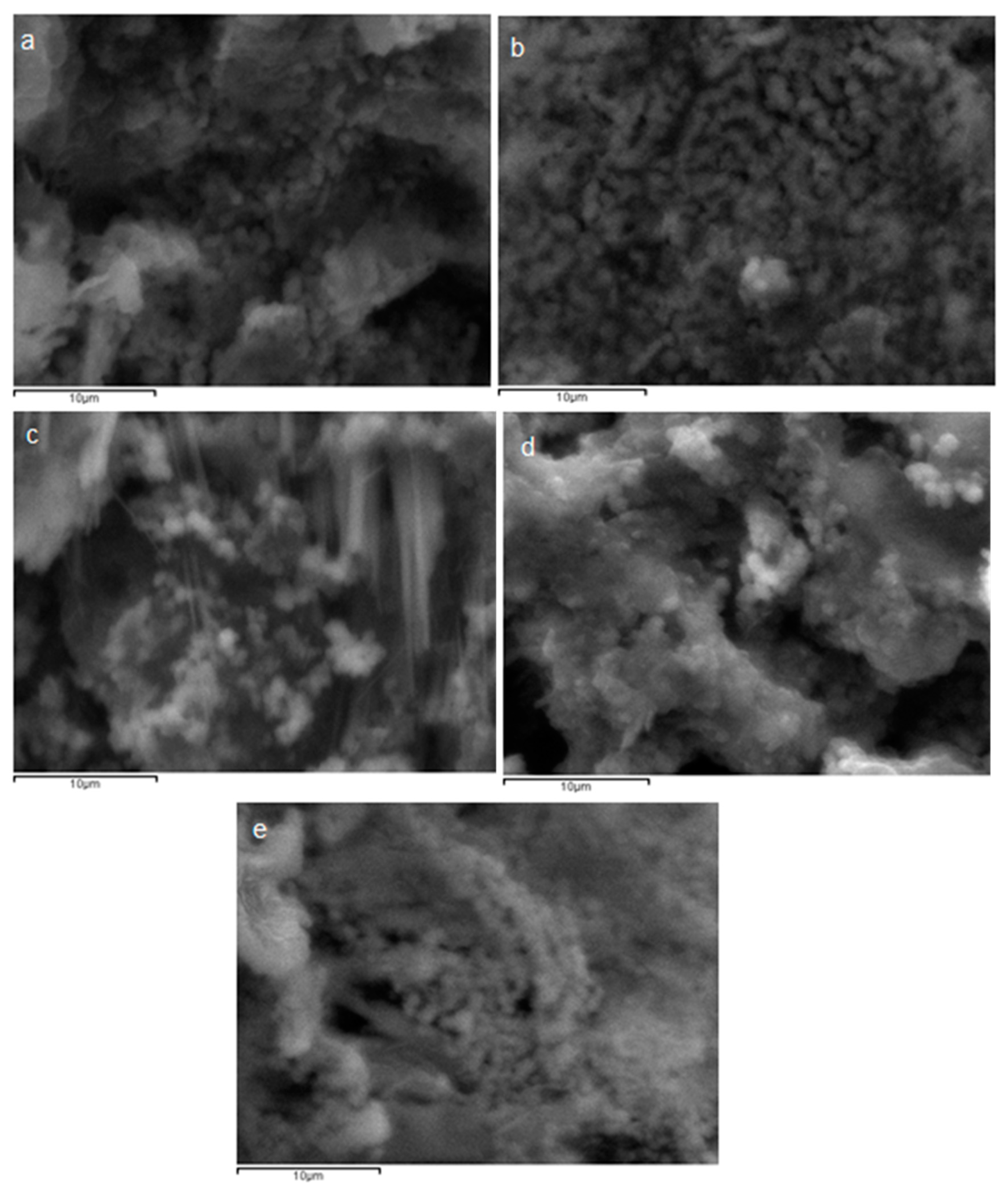 Pharmaceutics 12 00227 g012 Pharmaceutics 12 00227 g012