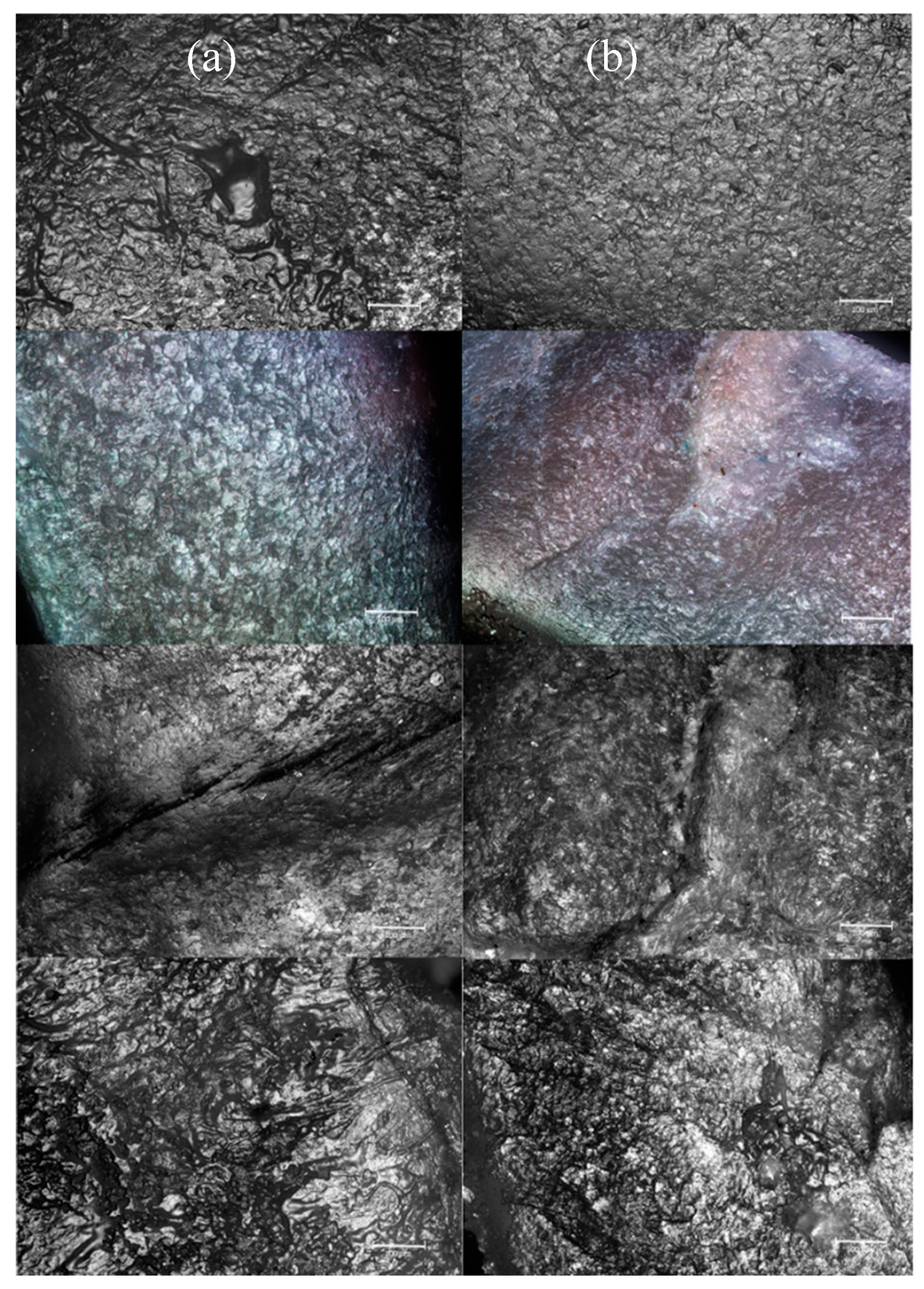 Pharmaceutics 12 00231 g008 Pharmaceutics 12 00231 g008