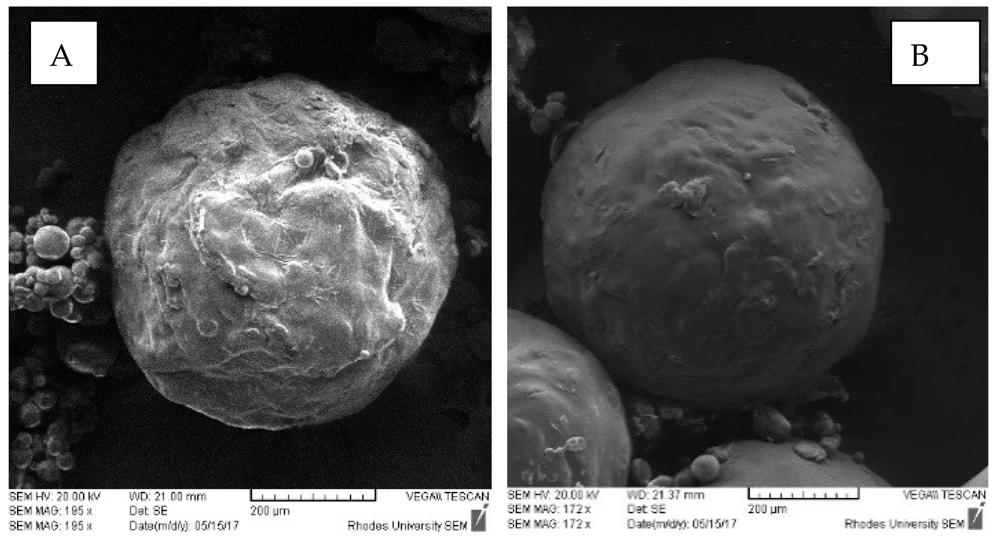 Pharmaceutics 12 00234 g006