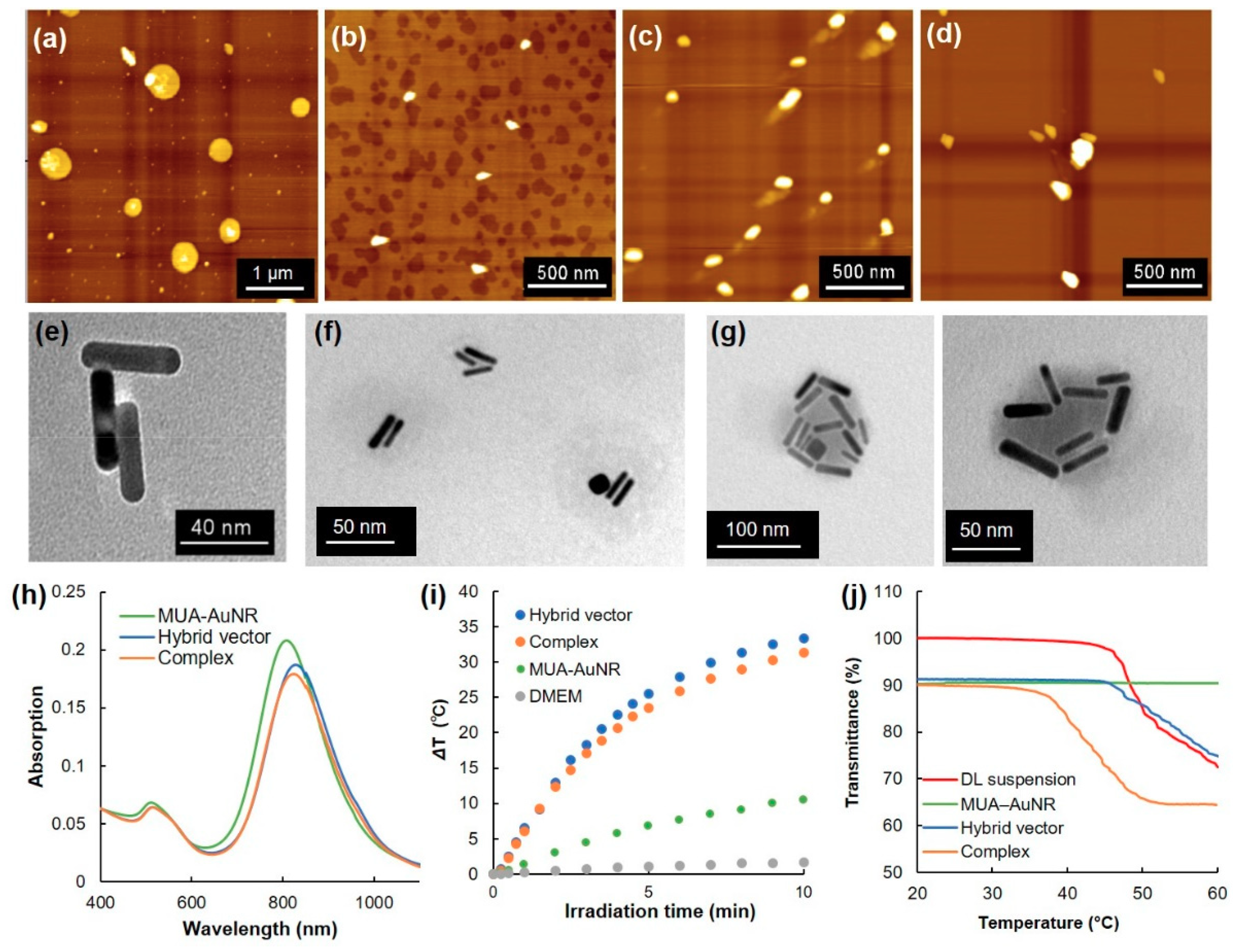 Pharmaceutics 12 00239 g002