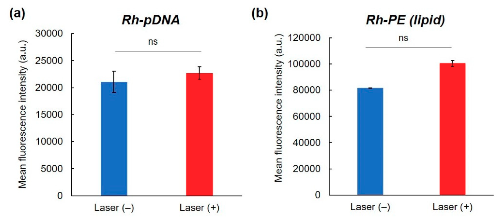Pharmaceutics 12 00239 g004