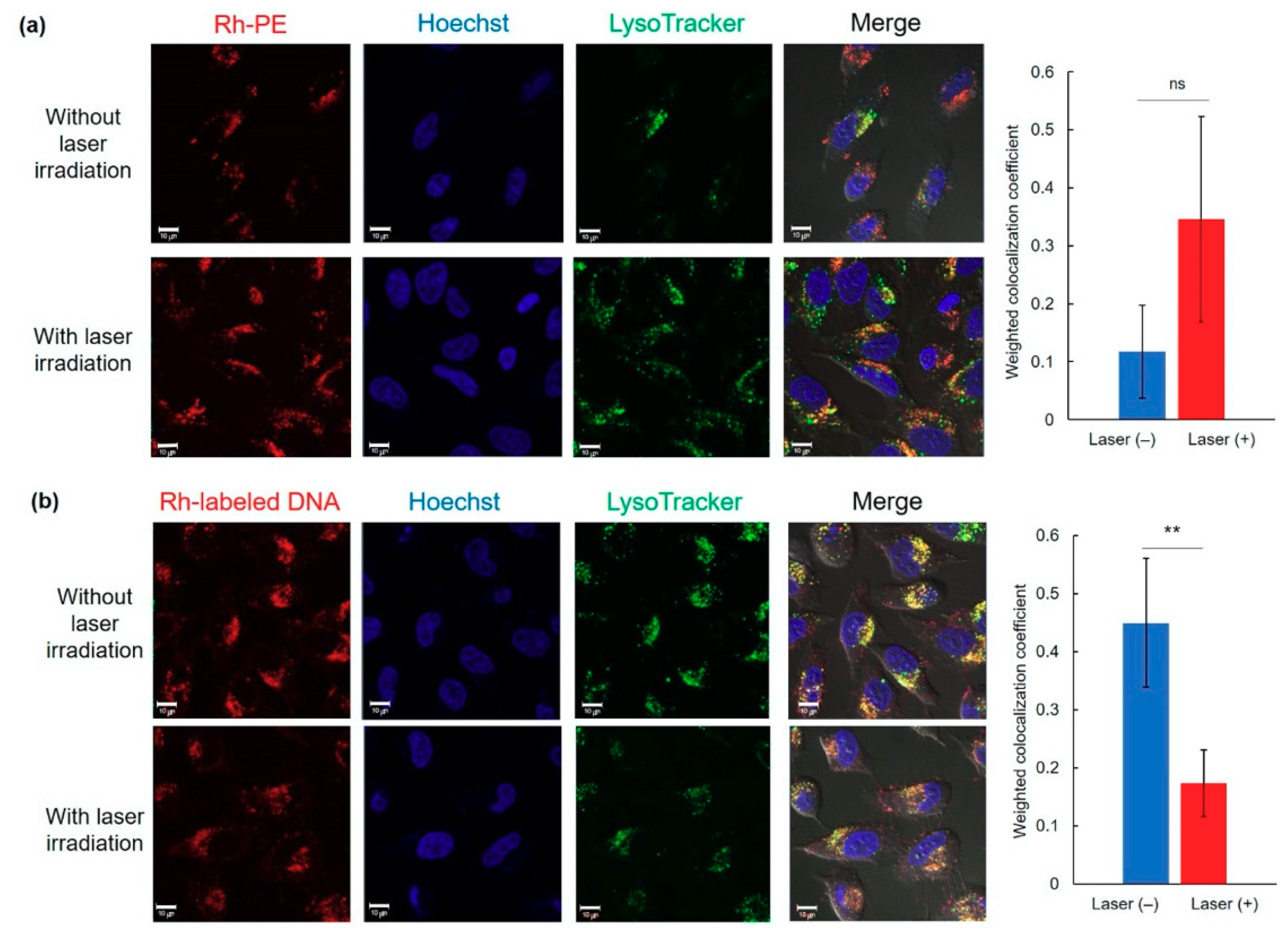 Pharmaceutics 12 00239 g005