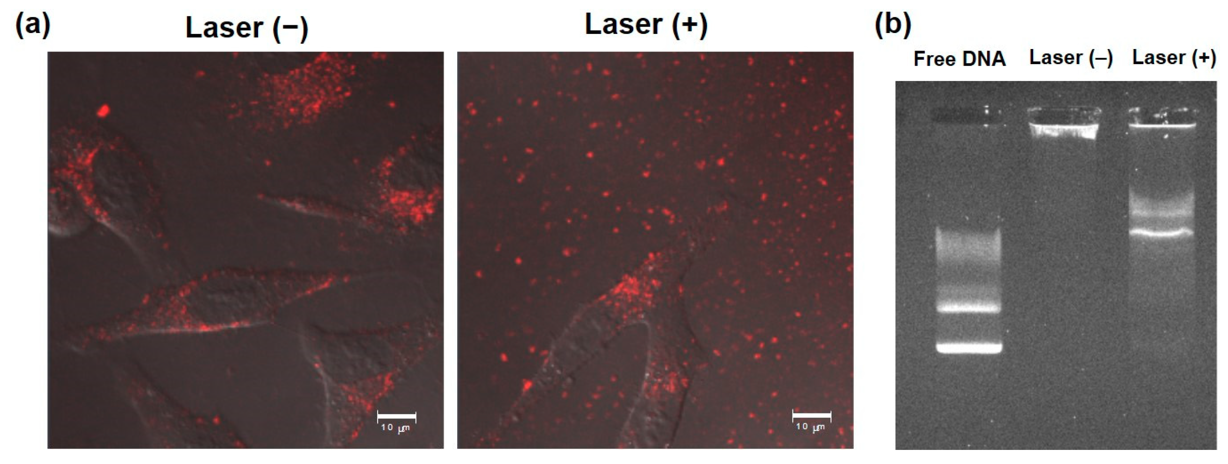 Pharmaceutics 12 00239 g006