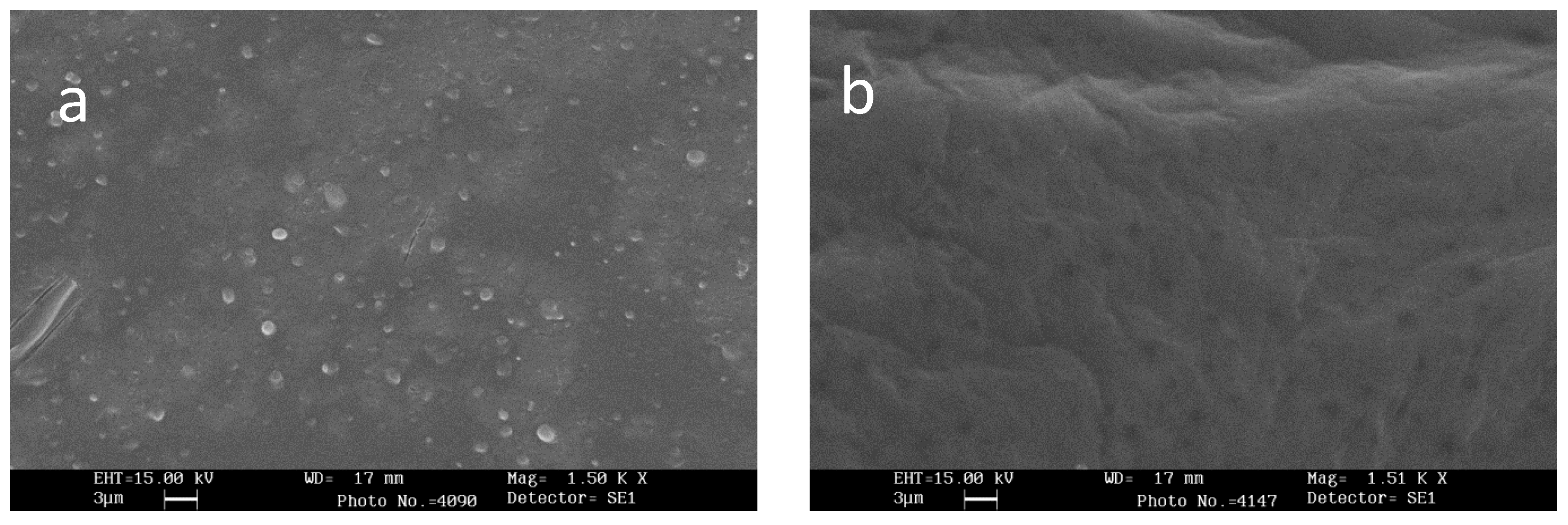 Pharmaceutics 12 00241 g001
