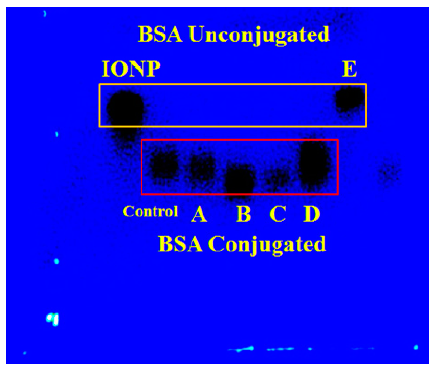 Pharmaceutics 12 00247 g002 Pharmaceutics 12 00247 g002