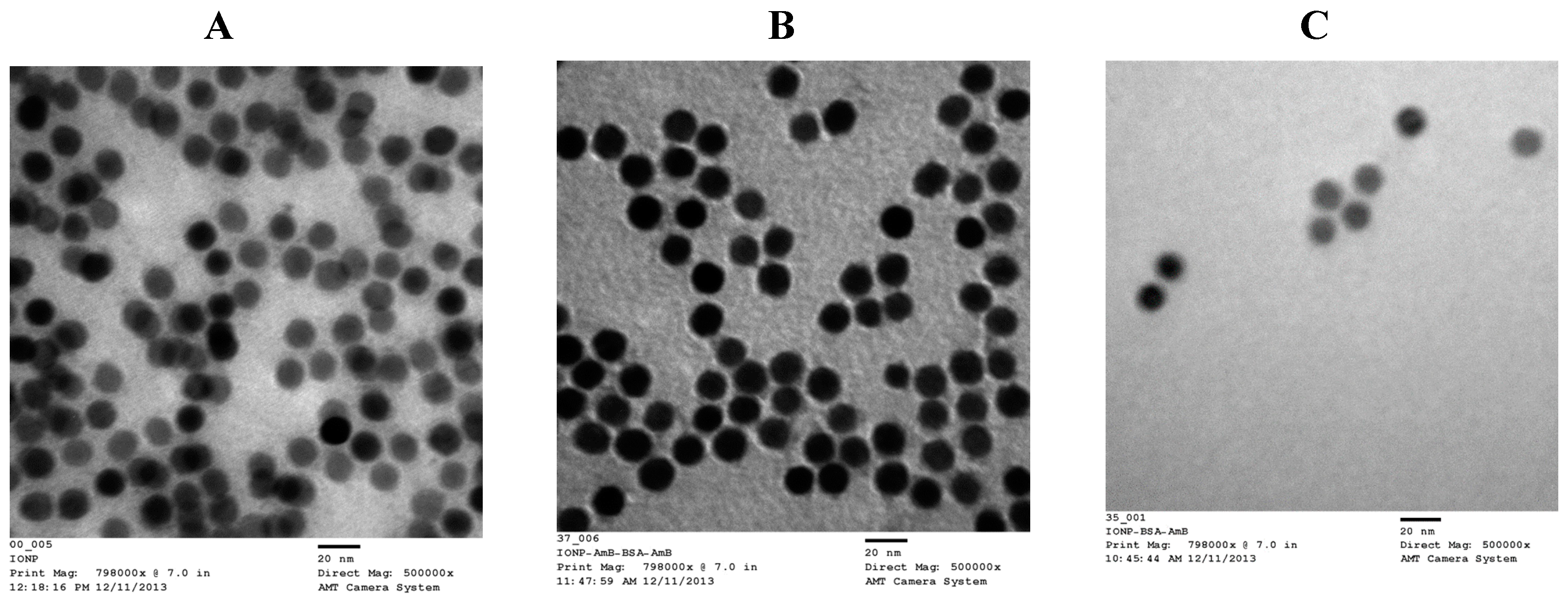 Pharmaceutics 12 00247 g004 Pharmaceutics 12 00247 g004