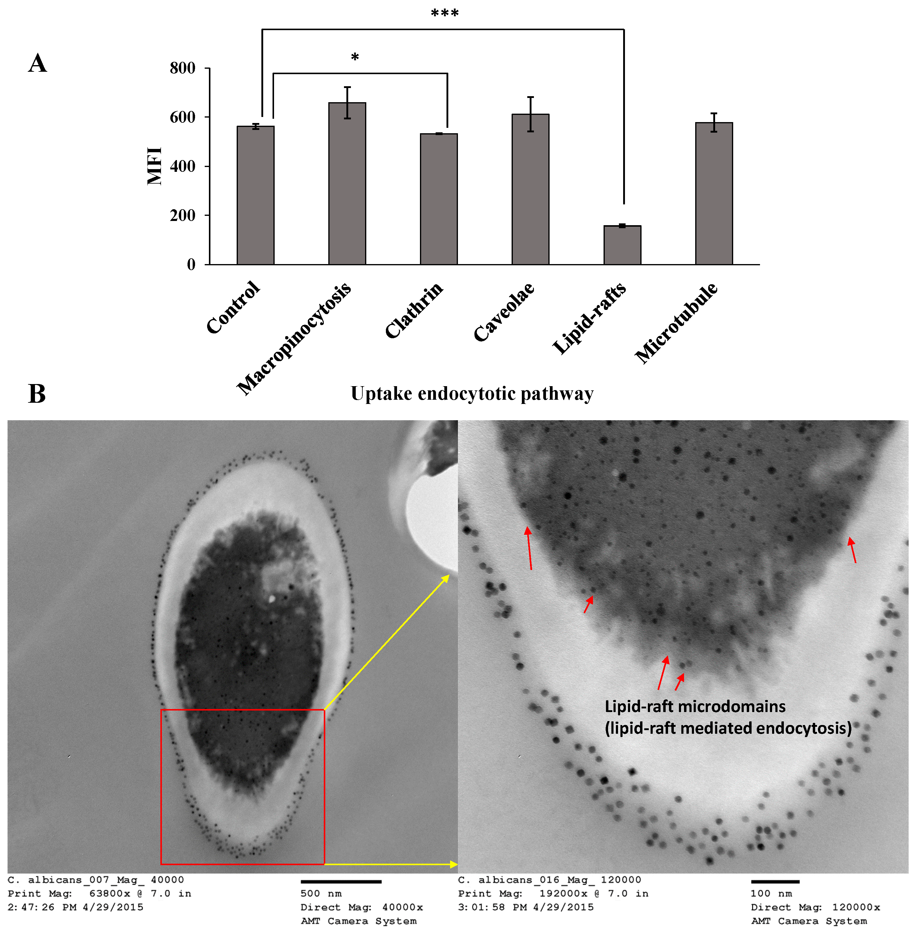 Pharmaceutics 12 00247 g015 Pharmaceutics 12 00247 g015