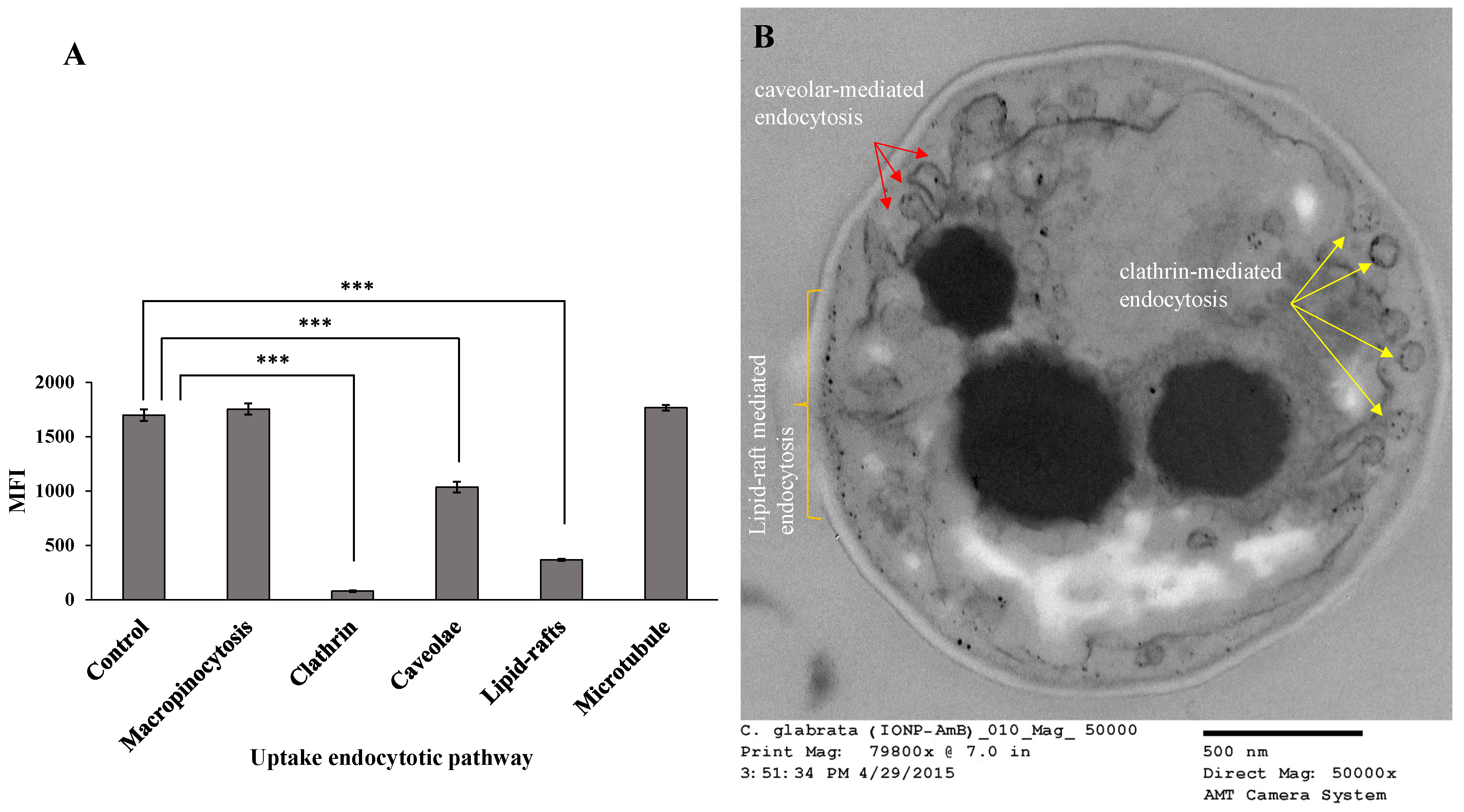 Pharmaceutics 12 00247 g016 Pharmaceutics 12 00247 g016