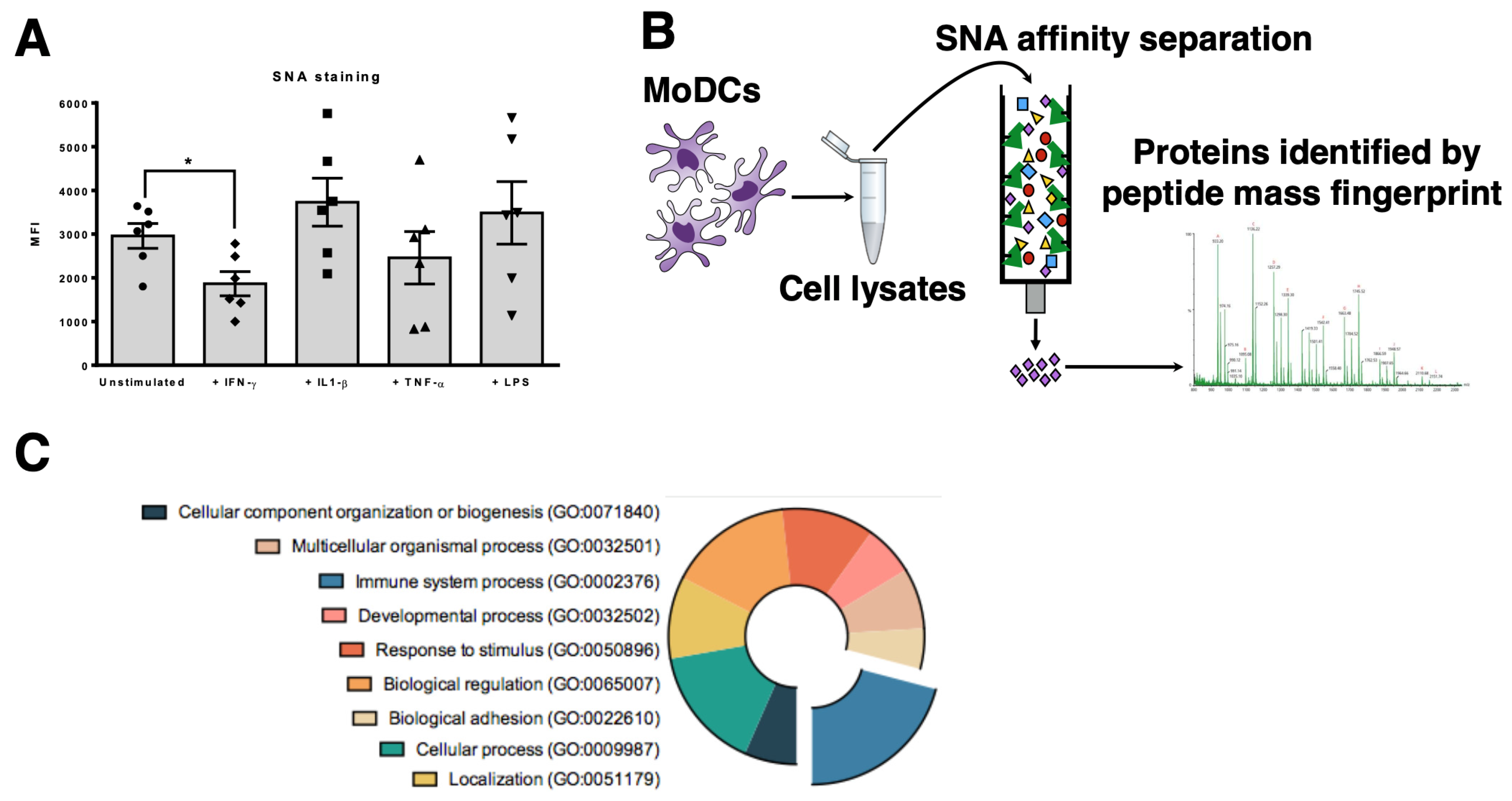 Pharmaceutics 12 00249 g001