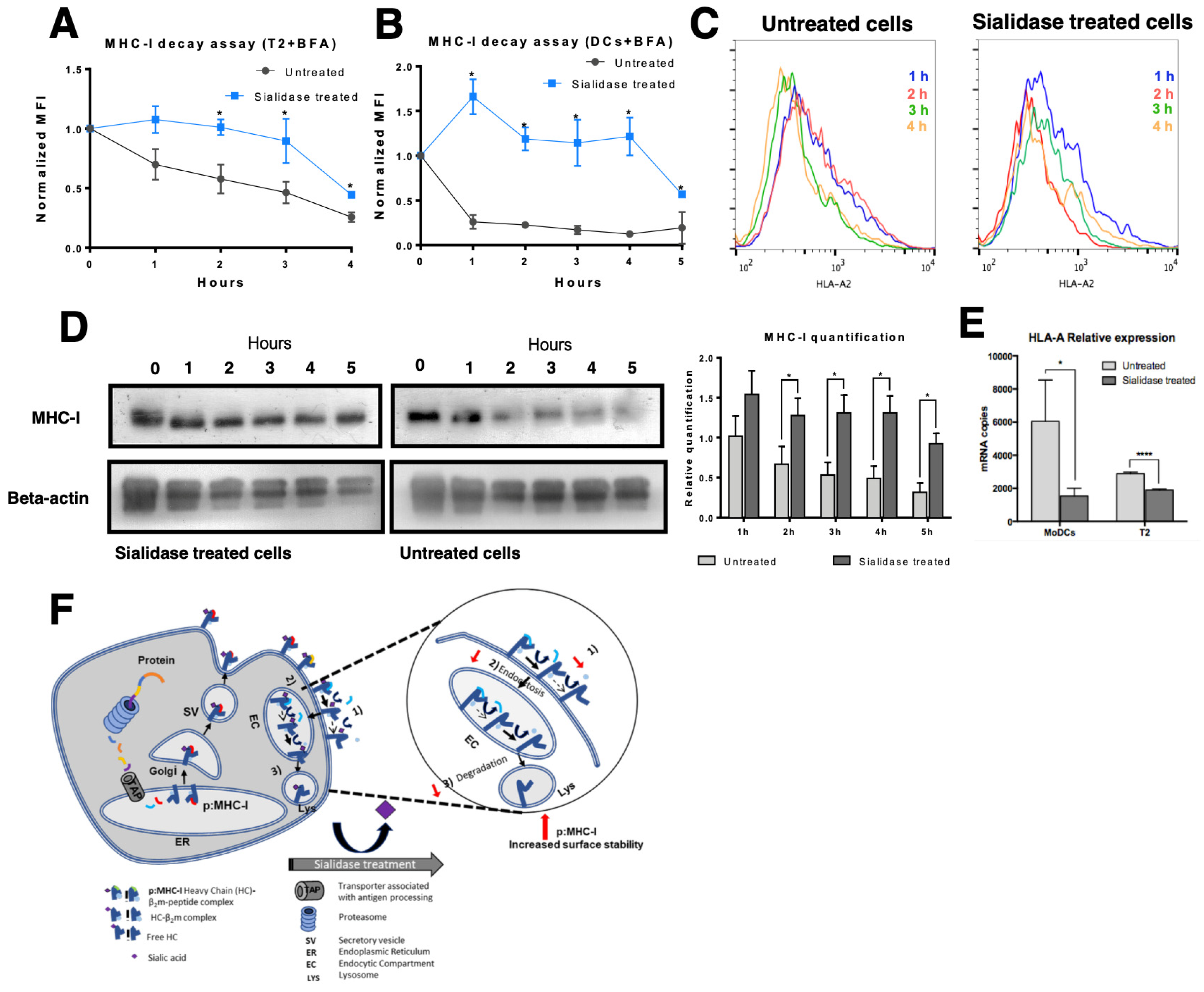 Pharmaceutics 12 00249 g005