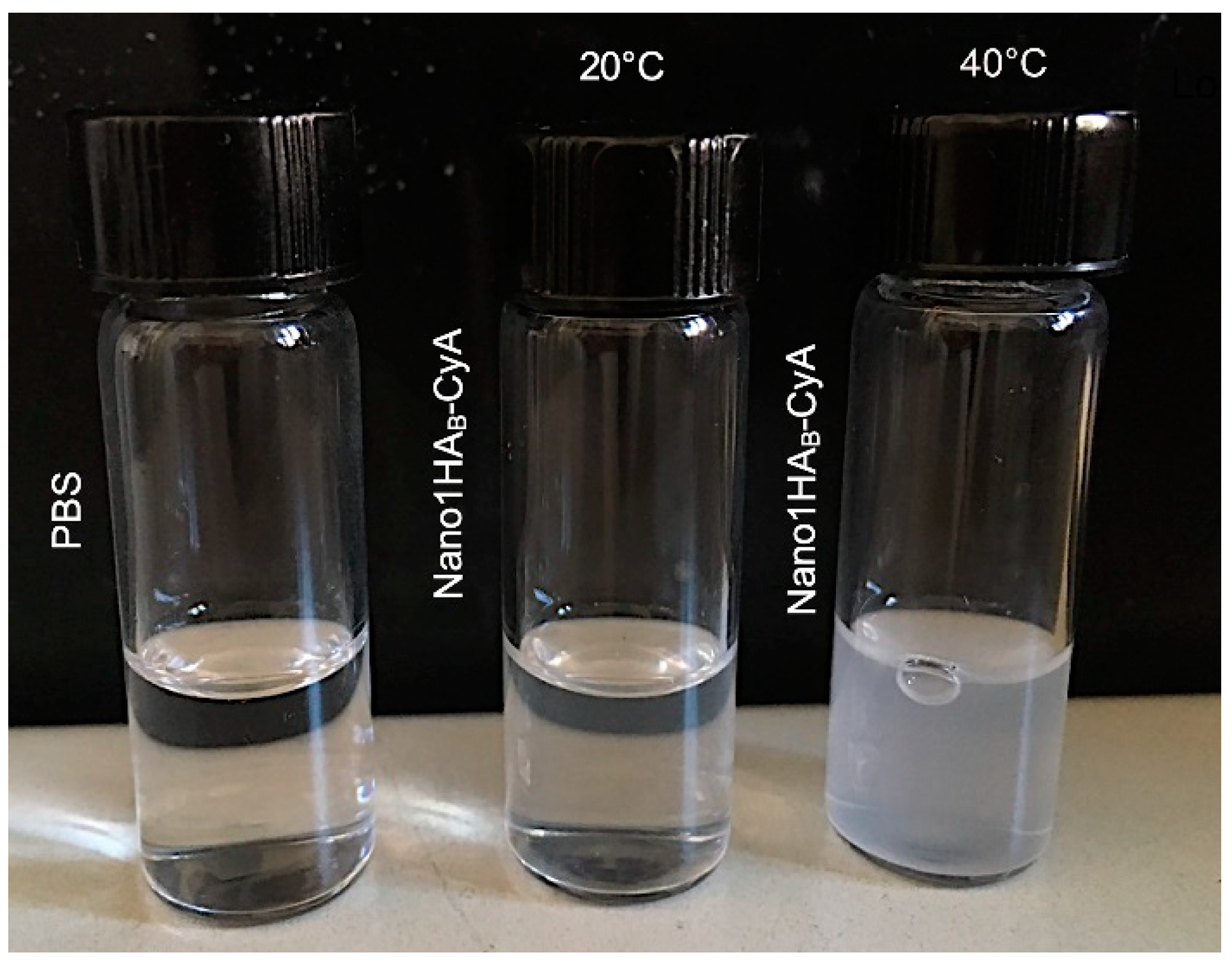 Pharmaceutics 12 00253 g002