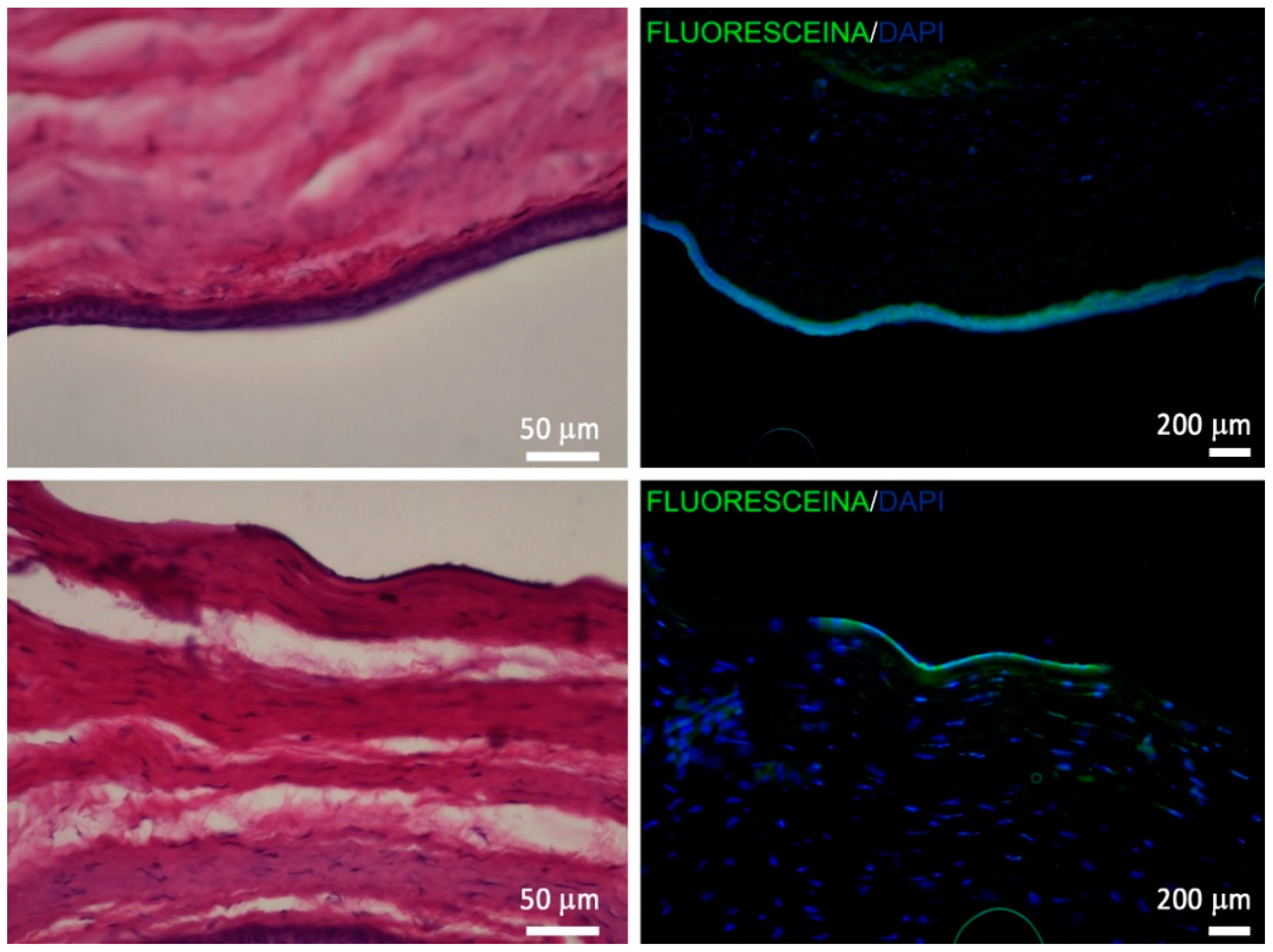 Pharmaceutics 12 00253 g009